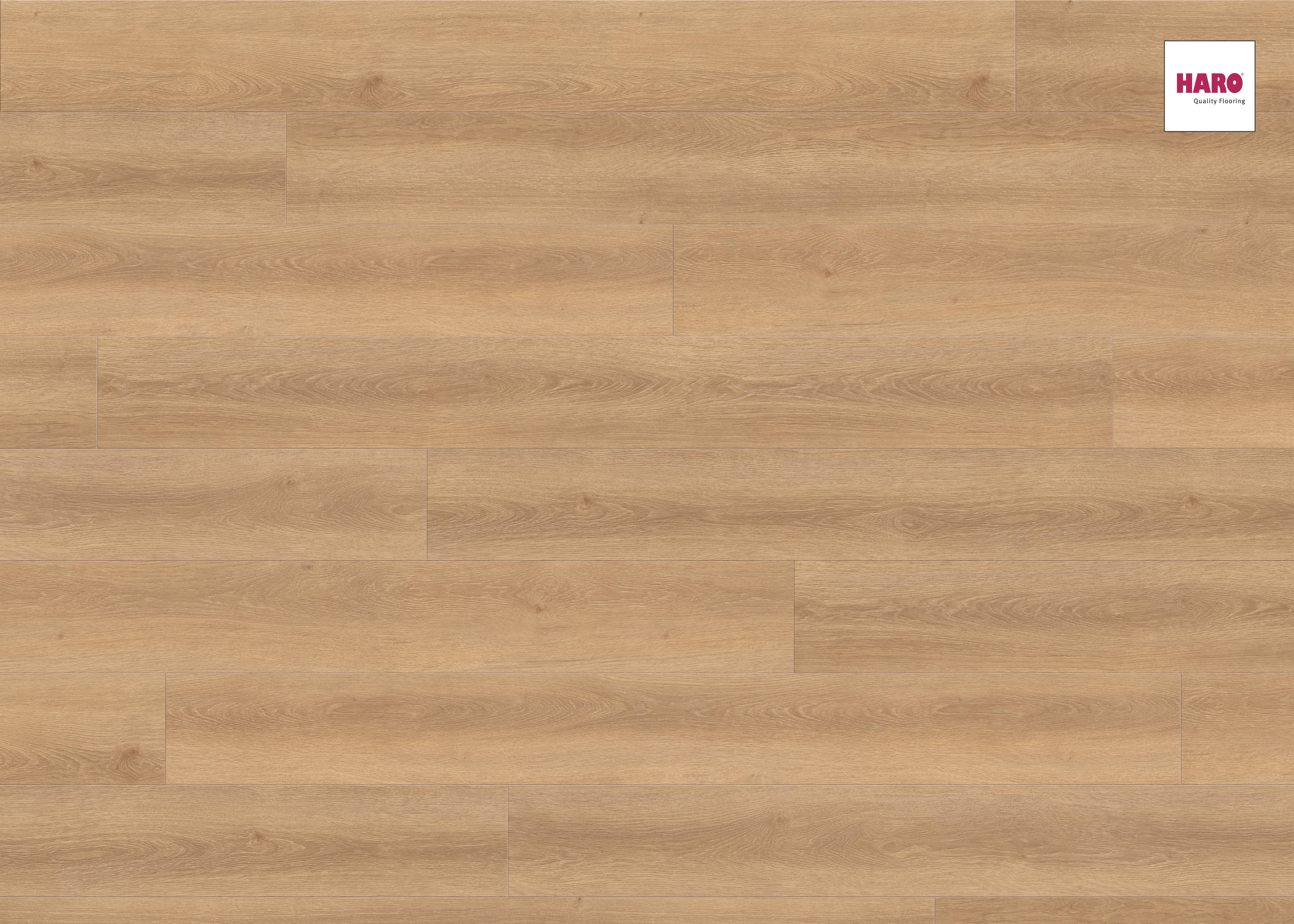 HARO Laminat Eiche Vienna hell Landhausdiele 4V | Tritty 100 Gran Via Sonderedition | 10 m²-4018427340261