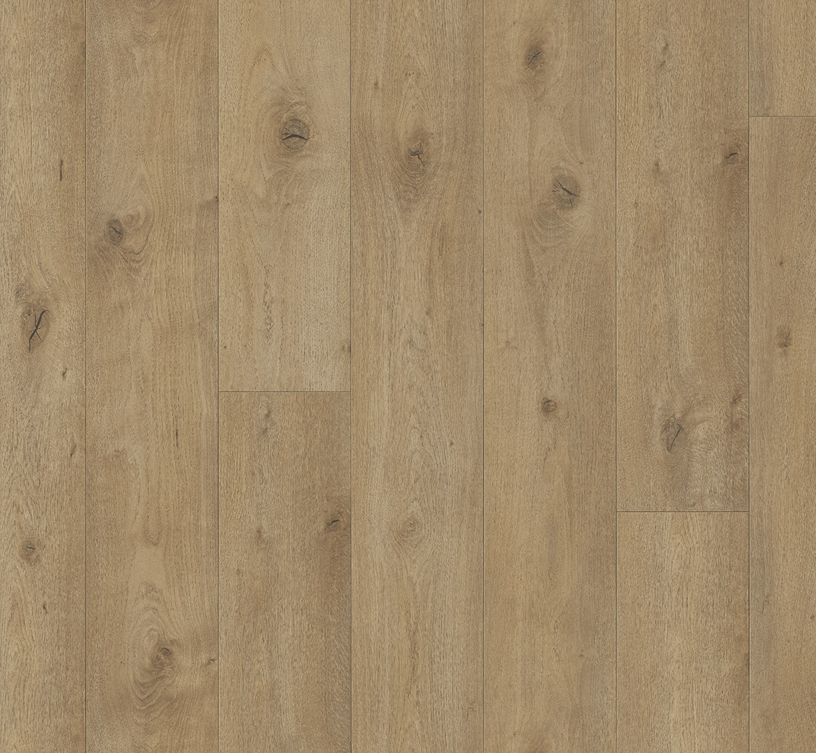 PARADOR Laminat Eiche Everglade natur Schlossdiele 4-seitige V-Fuge | Trendtime 6 | 25 m²-4014809268727 guenstig bei bodenverkauf.de kaufen PARADOR Laminat Eiche Everglade natur Schlossdiele 4-seitige V-Fuge | Trendtime 6 | 25 m²-4014809268727