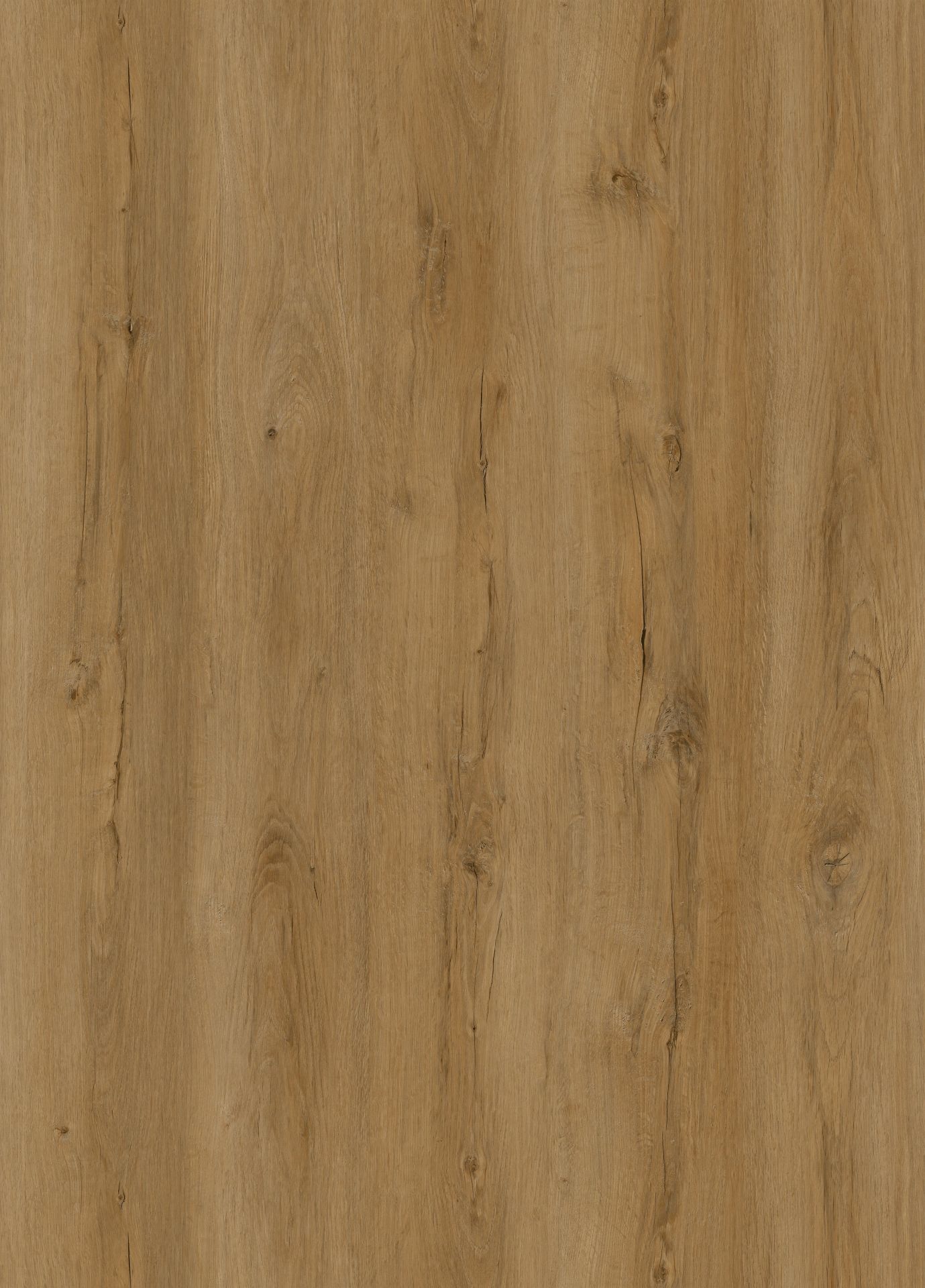 CHECK ONE Vinylboden 2462 Horstmar Eiche Landhausdiele | Basic Collection-4250055120161