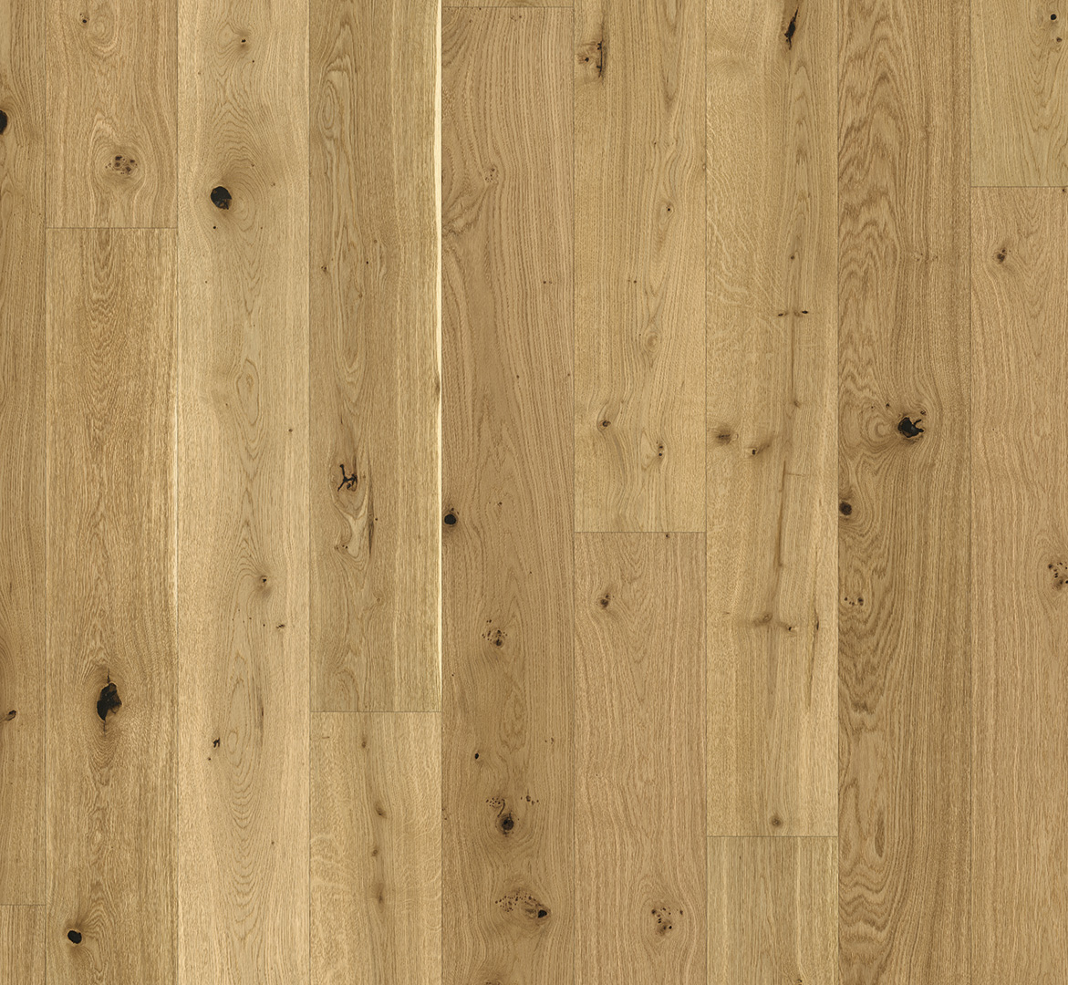 PARADOR Parkett Eiche Rustikal Landhausdiele lackversiegelt matt 4-seitige Fase | Trendtime 4-4014809262237 PARADOR Parkett Eiche Rustikal Landhausdiele lackversiegelt matt 4-seitige Fase | Trendtime 4-4014809262237