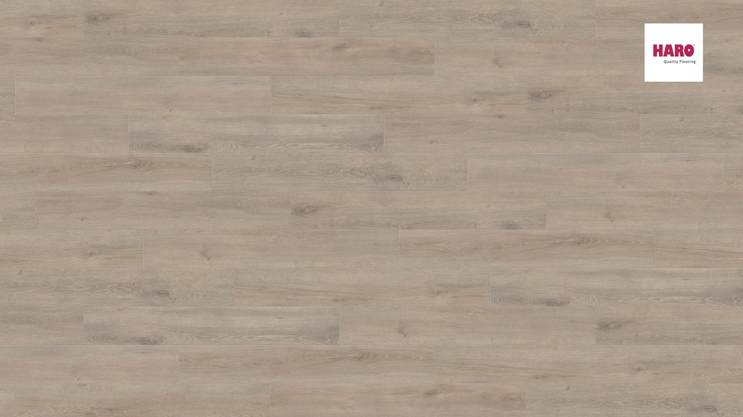 HARO Laminat Eiche Veneto mocca Landhausdiele 4V | Tritty 200 Aqua | 2.Wahl | 11,5 m²-4018427426934