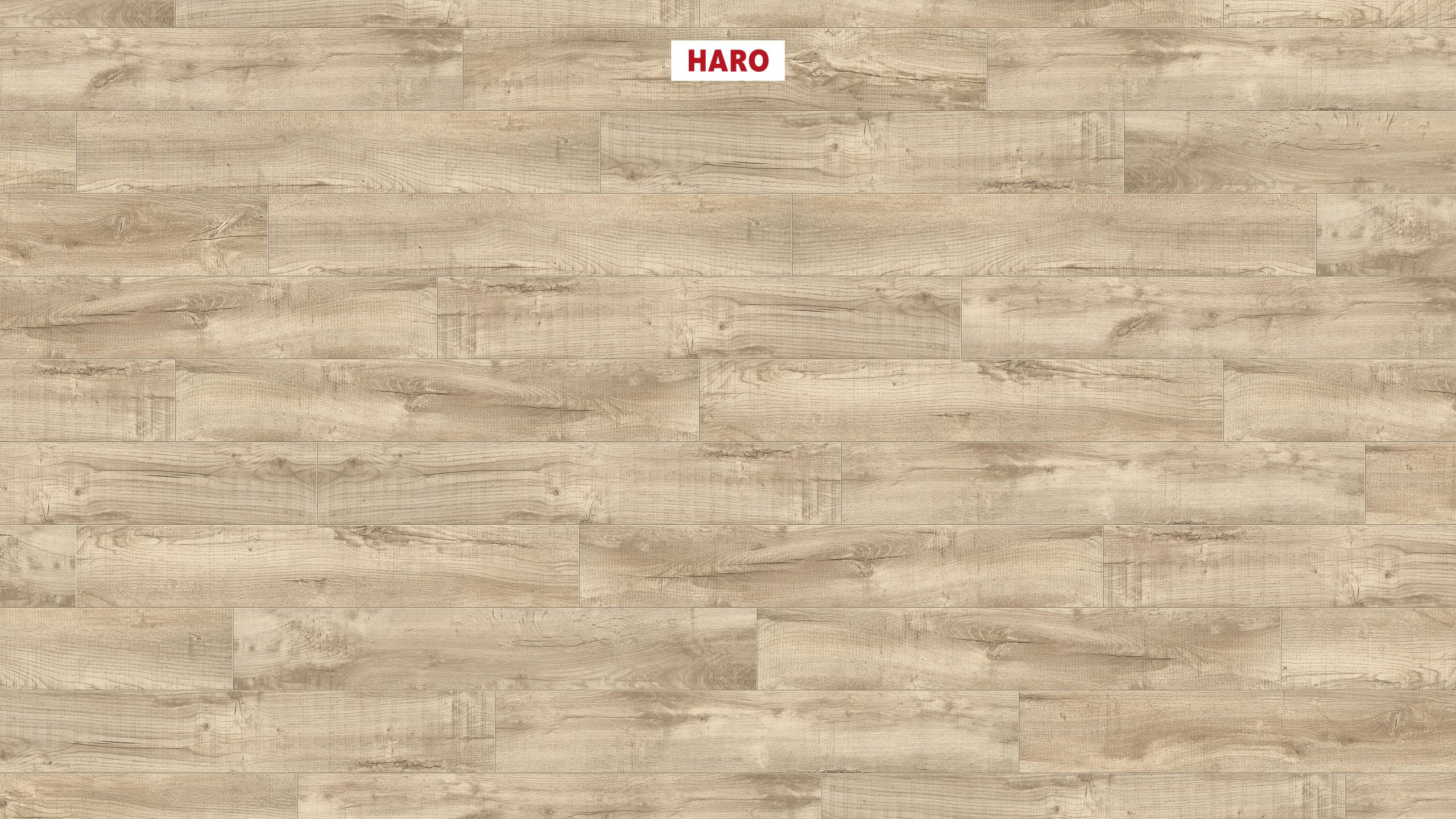 HARO Korkboden Arteo XL 4V Shabby Oak weiß permaDur | Corkett-4018427427238