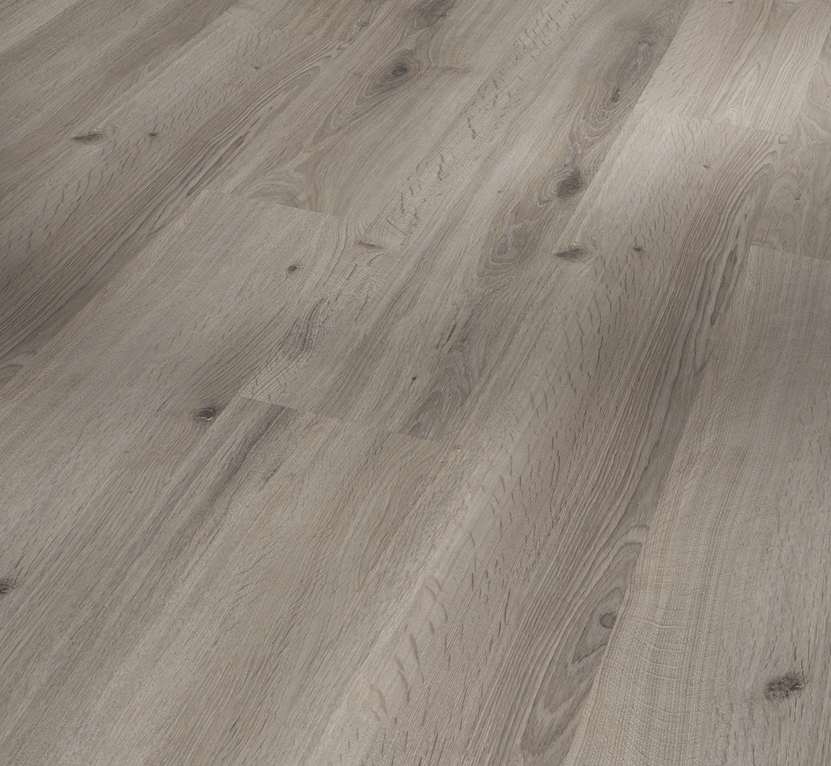 PARADOR Laminat Eiche basaltgrau Landhausdiele Seidenmatte Struktur | Basic 400-4014809233435