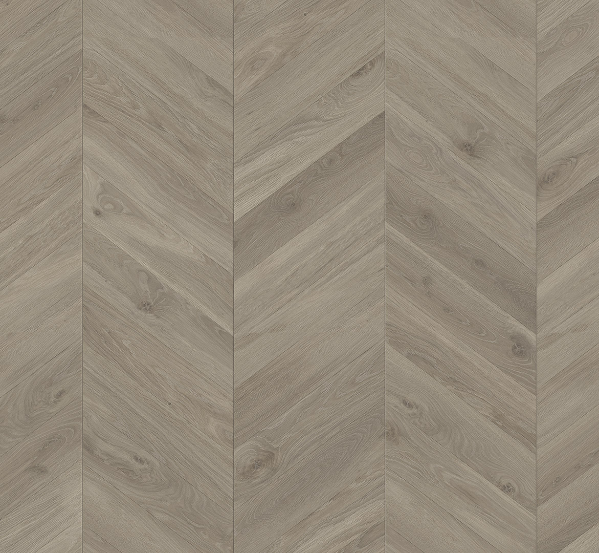 PARADOR Laminat Eiche Loire grau Seidenmatte Struktur | Trendtime 8-4014809268642