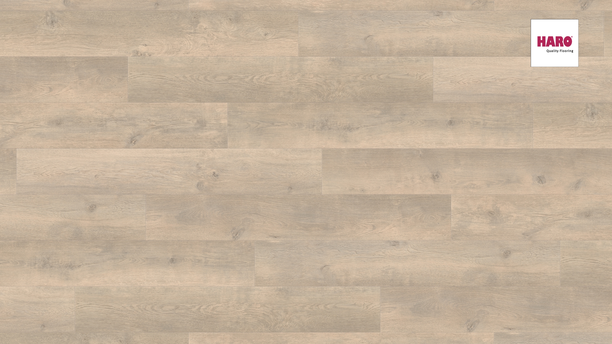 HARO Laminat Eiche Bergamo antikweiß authentic matt Landhausdiele 4V | Tritty 90 | 2.Wahl | 36 m²-4018427447885
