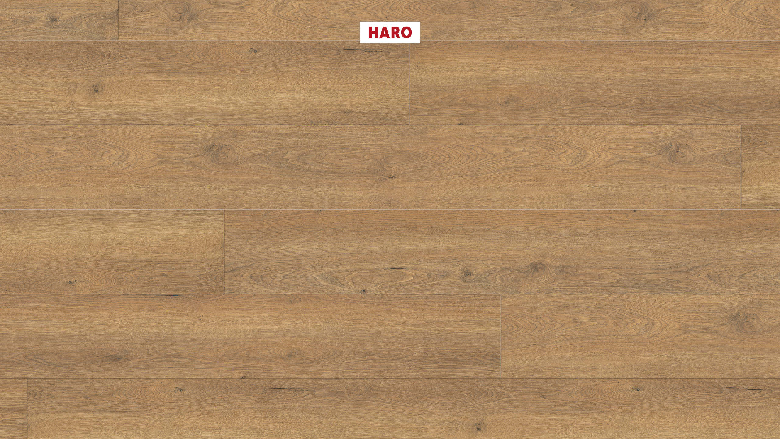 HARO Laminat Eiche Flavia natur authentic Landhausdiele 4V | Tritty 100 Gran Via | 31 m²-4018427512200