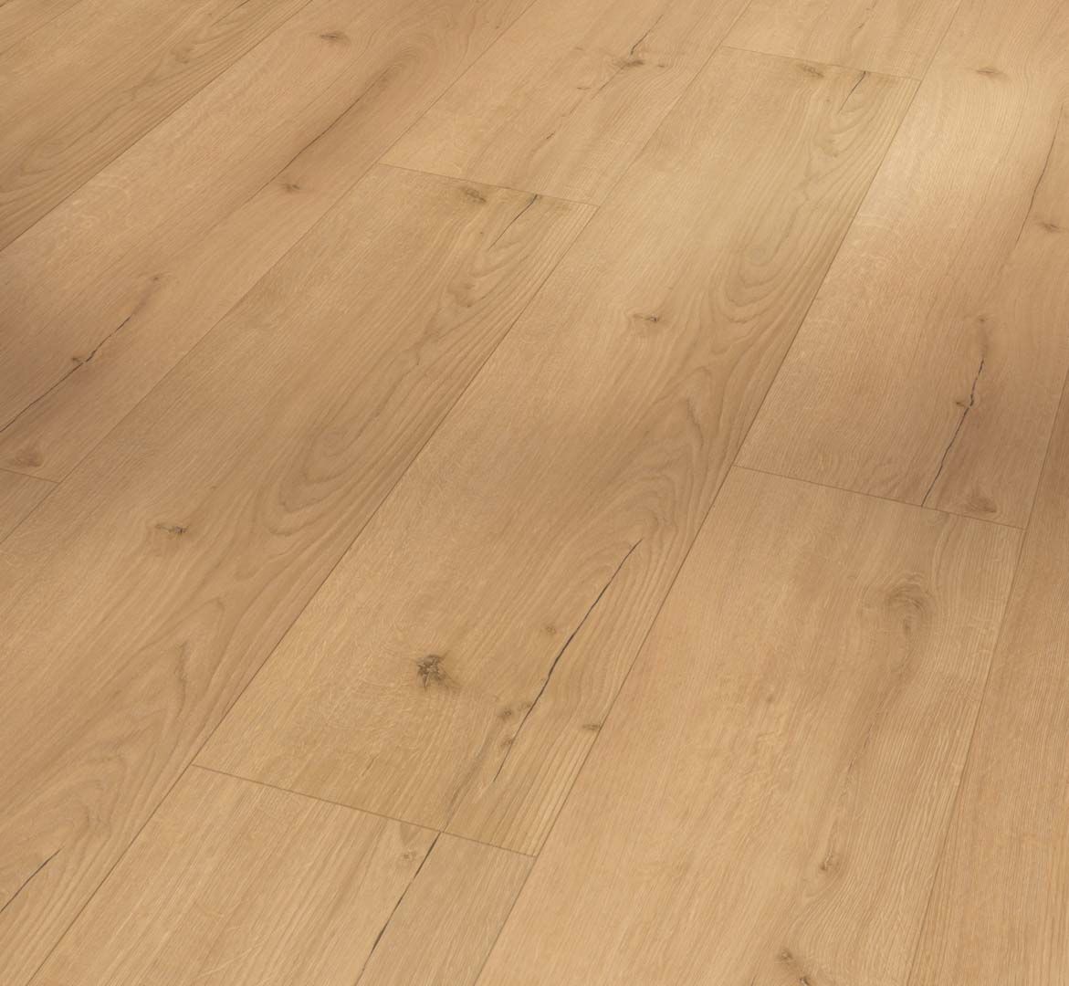 PARADOR Vinylboden Eiche Infinity natur Lebhafte Struktur Landhausdiele 4-seitige Fase | Basic 5.3-4014809237037