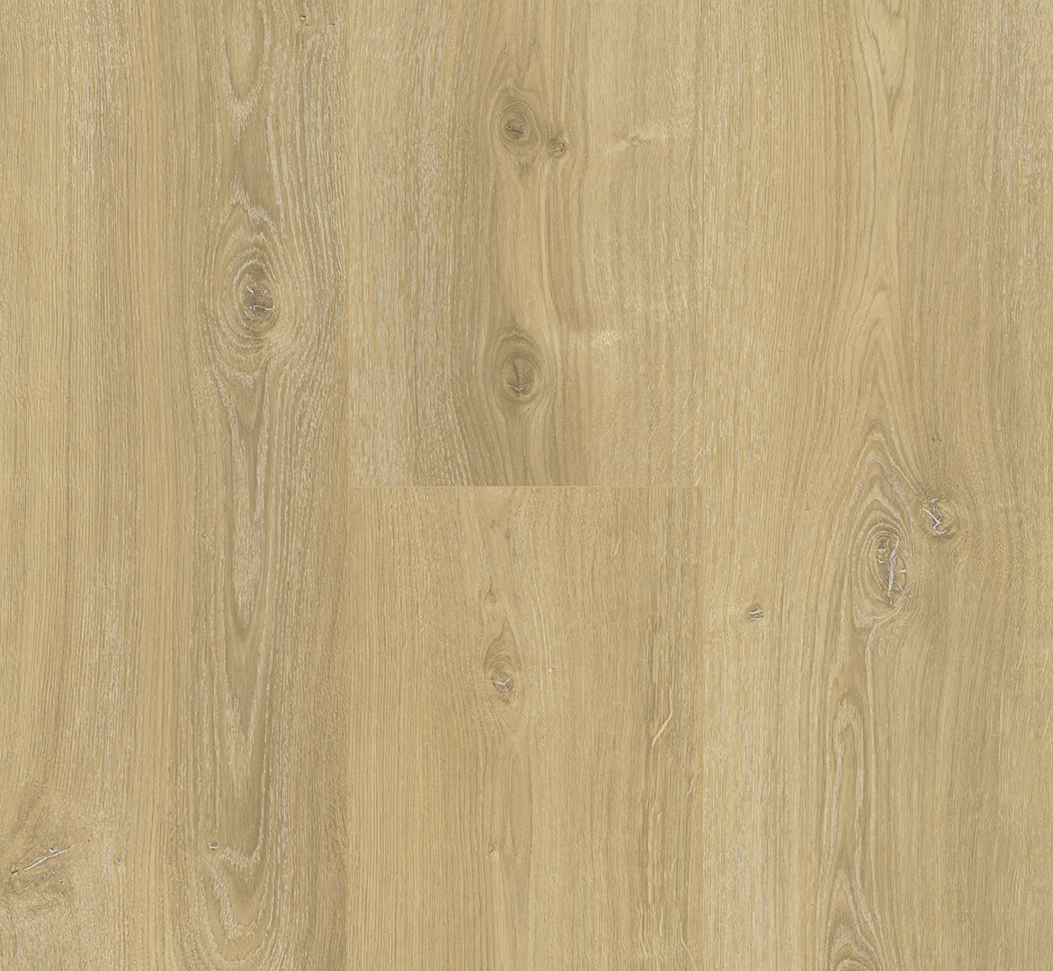 PARADOR Laminat Eiche Nova gekälkt Landhausdiele Naturstruktur 4-seitige V-Fuge | Basic 600 XS-4014809233534