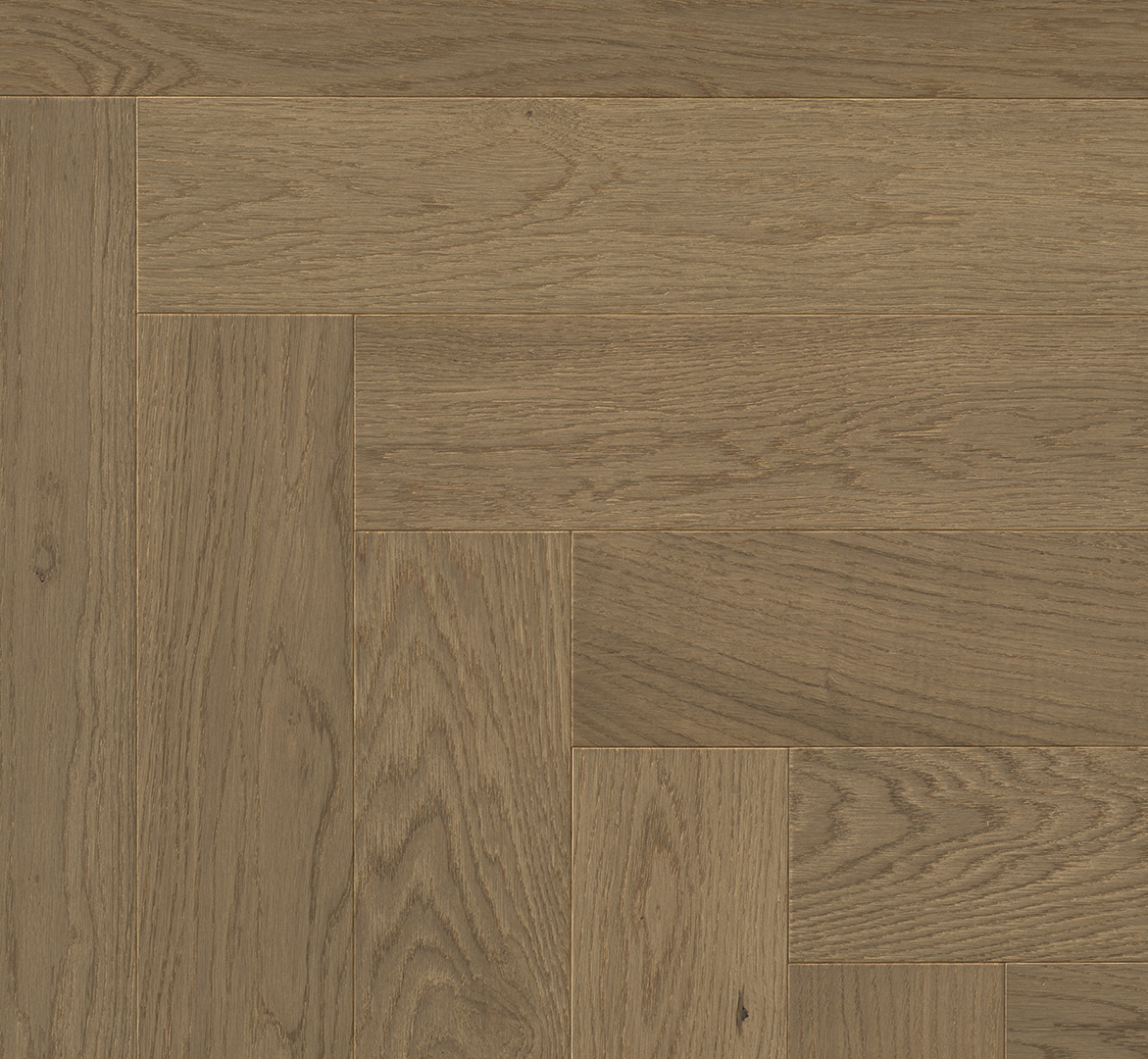 PARADOR Parkett Eiche nougat Living Fischgrät Minifase | Trendtime 3 | 2. Wahl | 14 m²-4014809197119
