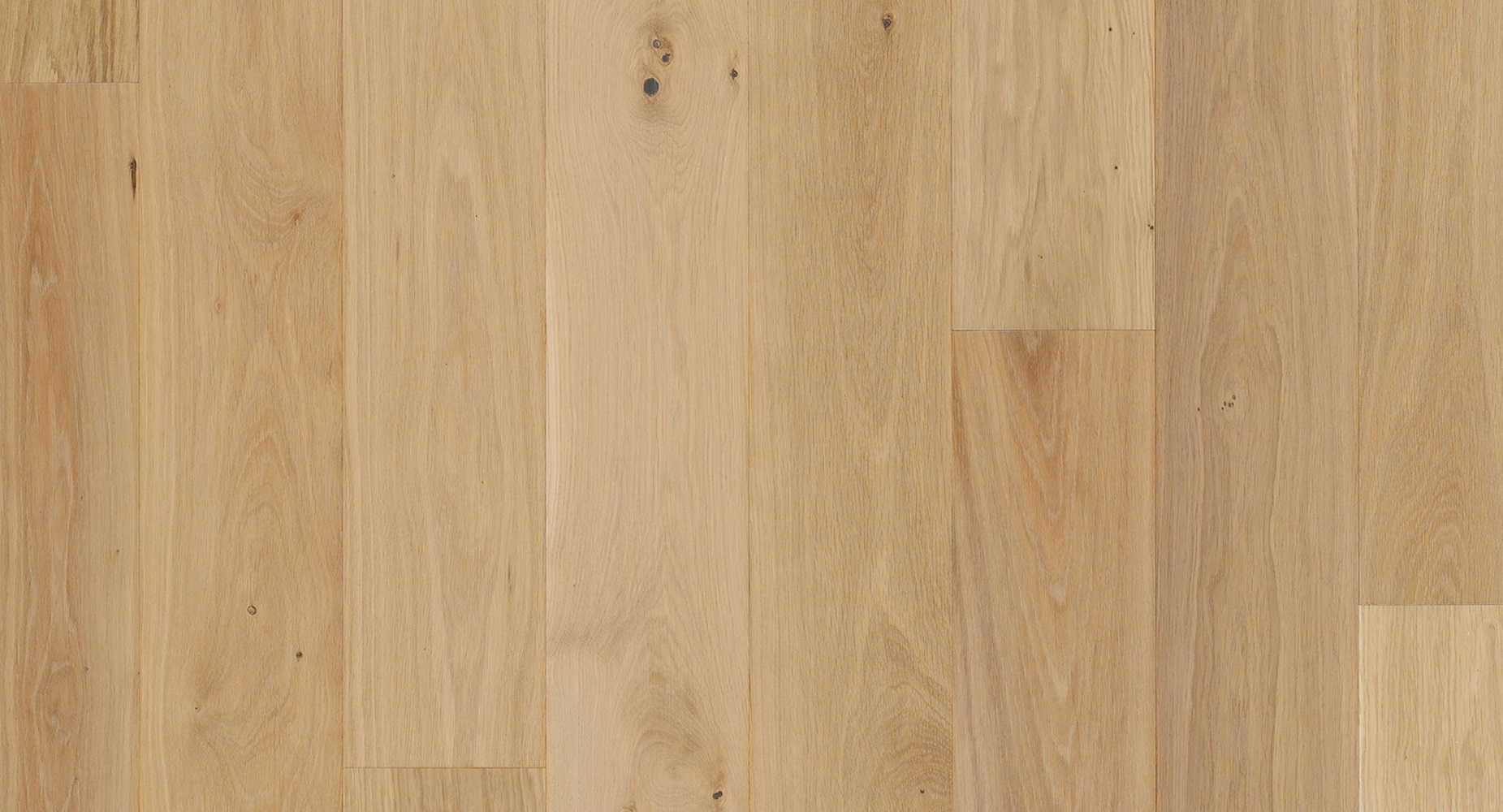 PARADOR Parkett Eiche Clear Landhausdiele 4-seitige Minifuge | Sonderedition Trendtime 4-#