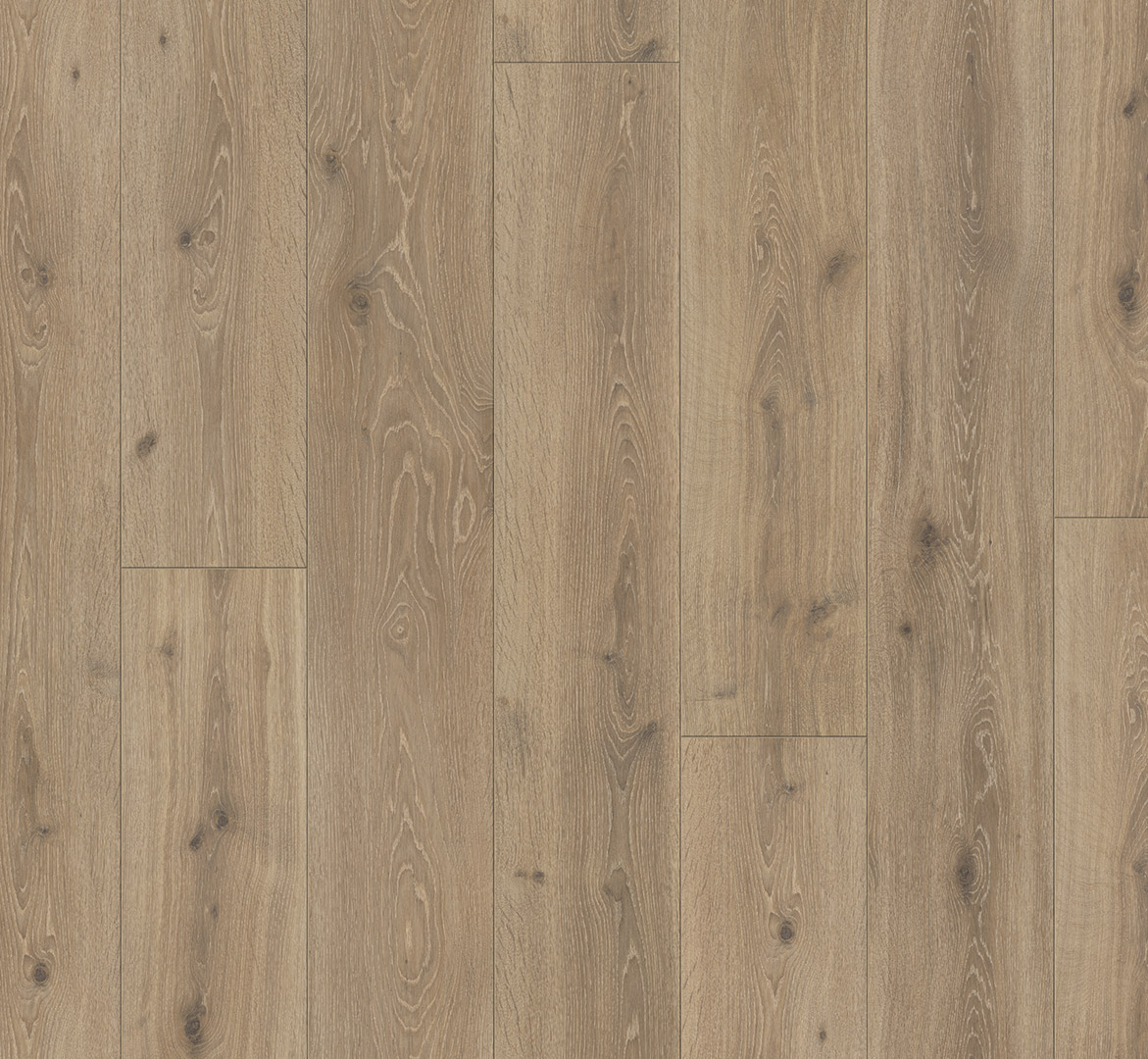 PARADOR Laminat Eiche Castell gekälkt Schlossdiele 4-seitige V-Fuge | Trendtime 6-4014809129646