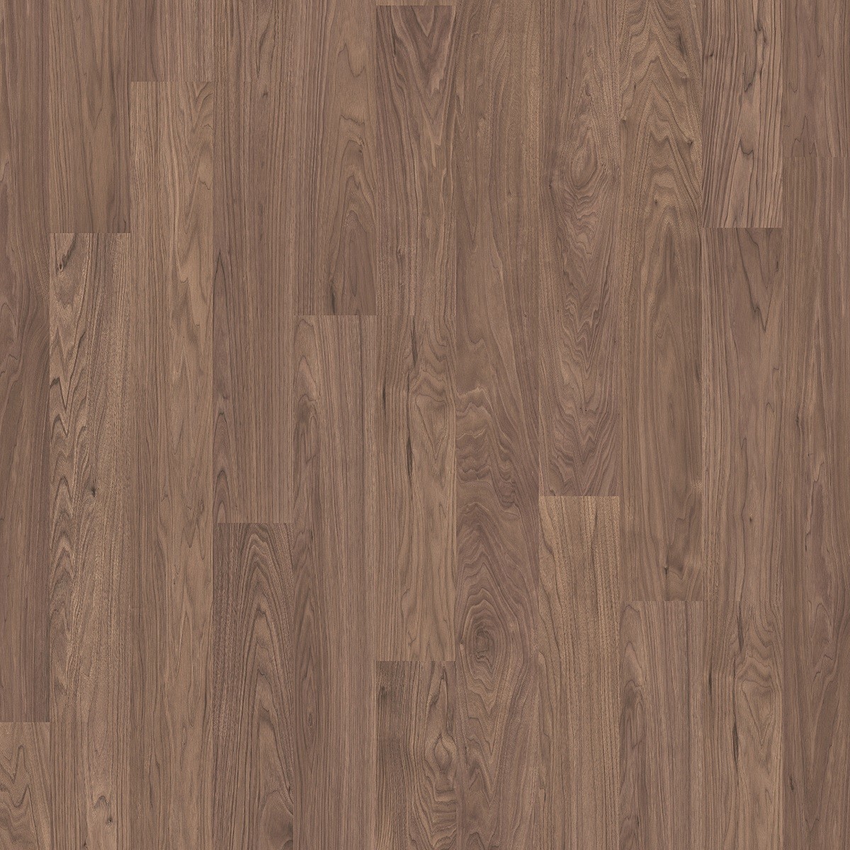 TER HÜRNE Laminat Walnuss cremegrau Landhausdiele 2-Stab | City Line | 32 m²-4012853083792