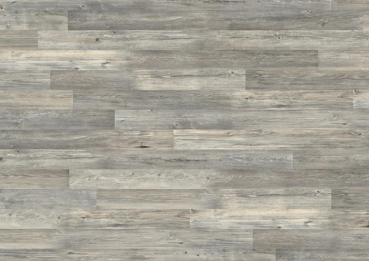 TER HÜRNE Laminat Ulme lichtgrau Schiffsboden 2-Stab | City Line | 16 m²-4012853083761 guenstig bei bodenverkauf.de kaufen TER HÜRNE Laminat Ulme lichtgrau Schiffsboden 2-Stab | City Line | 16 m²-4012853083761