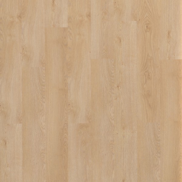 PARADOR Laminat Eiche gekälkt Landhausdiele Authentische Struktur | Click In | 33 m²-4014809153665