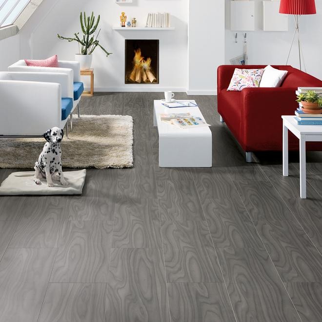 HARO Laminat Plaza Ulme Florea 4V-gefast | Tritty 100 | 10 m²-