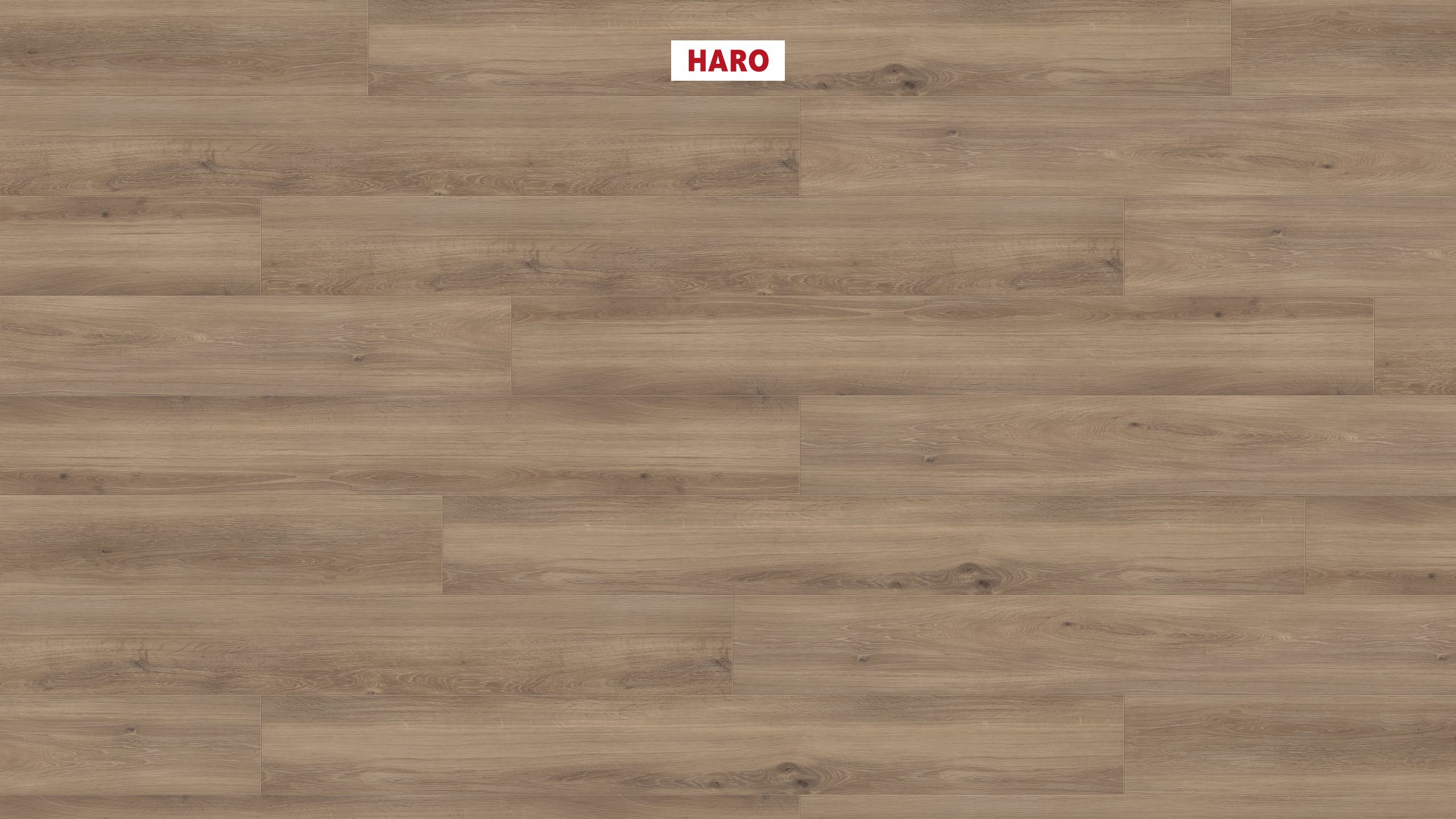 HARO Designboden Tabakeiche strukturiert Landhausdiele XL 4V | DISANO ClassicAqua | 2. Wahl-4018427414795