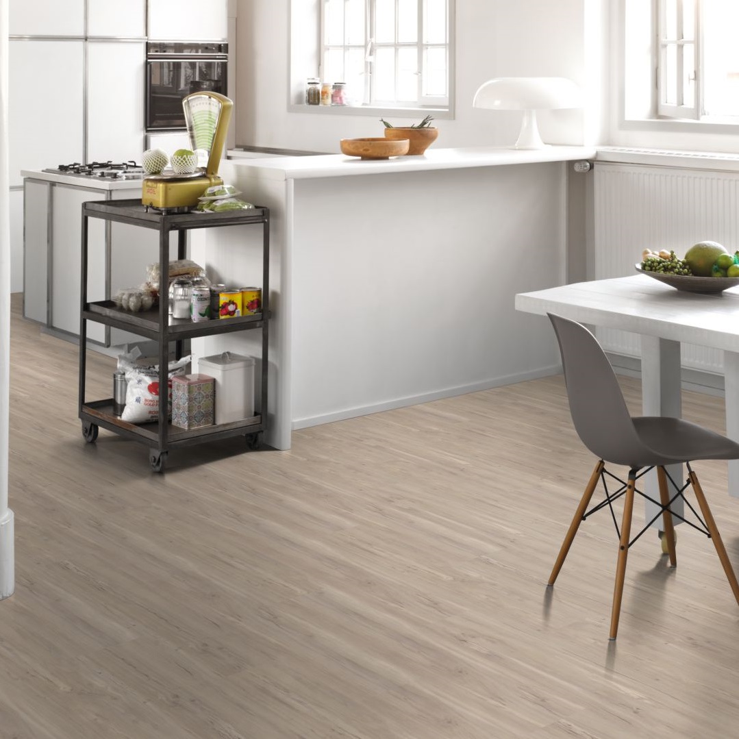 PARADOR Vinylboden Wildapfel gebleicht Landhausdiele Holzstruktur | Basic 30 | 24 m²-4014809145011