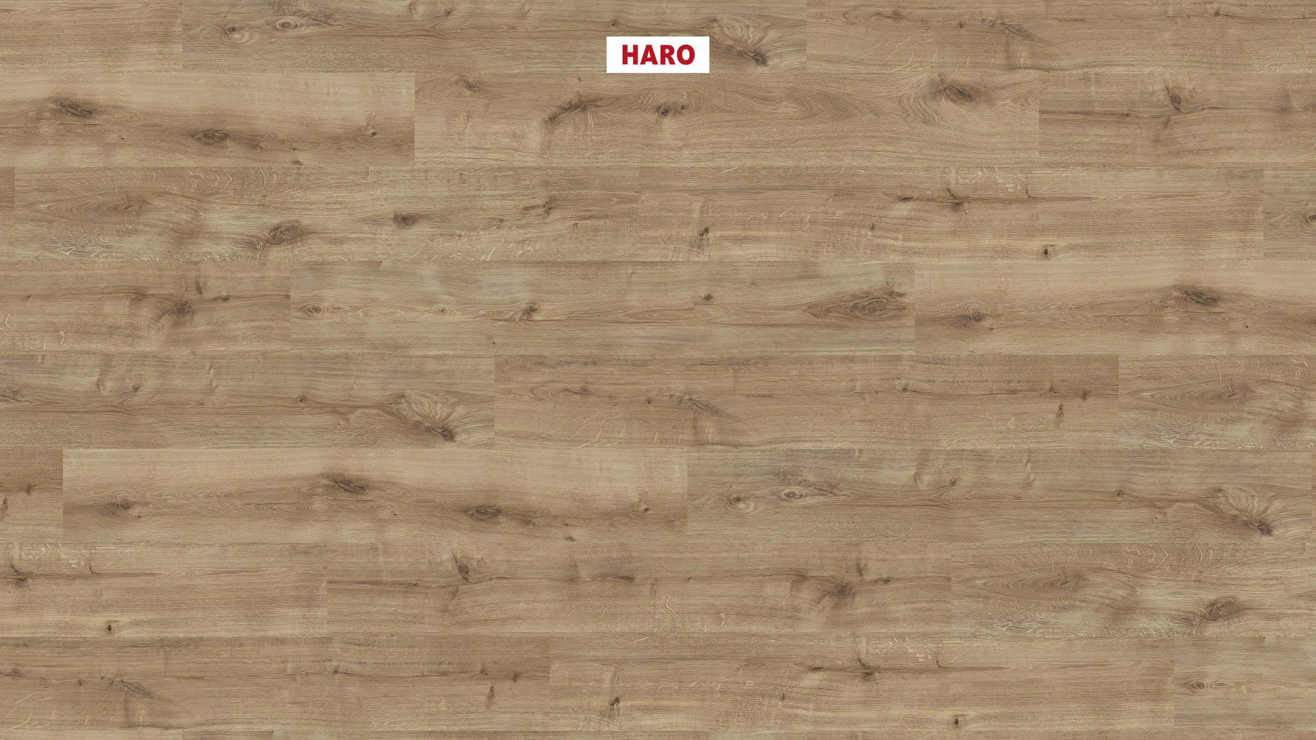 HARO Laminat Eiche Calla puro strukturiert Landhausdiele | Daily Edition | 2. Wahl-4018427472658