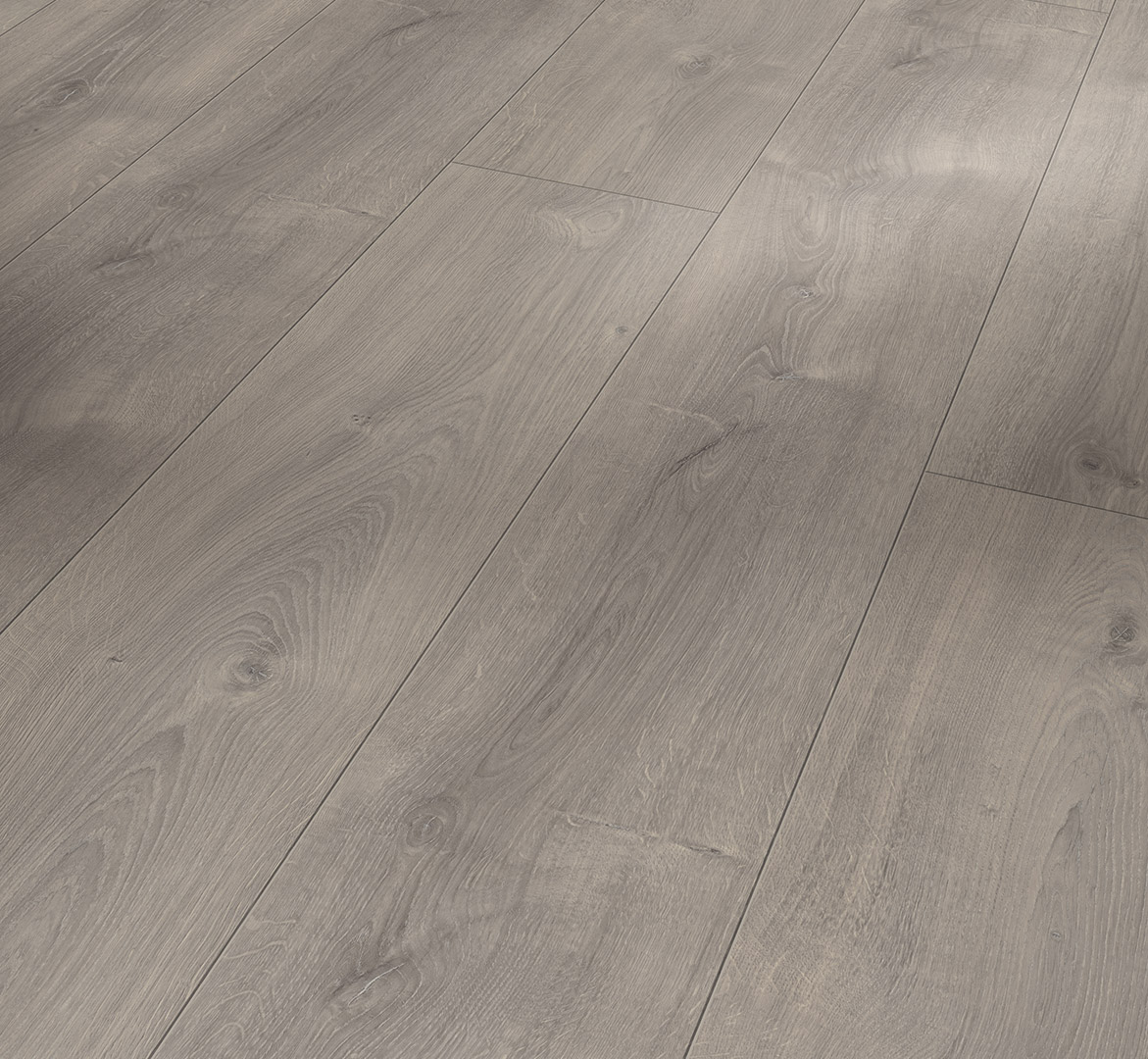 PARADOR Laminat Eiche Valere perlgrau gekälkt Schlossdiele 4-seitige V-Fuge | Trendtime 6-40148091679836 guenstig bei bodenverkauf.de kaufen PARADOR Laminat Eiche Valere perlgrau gekälkt Schlossdiele 4-seitige V-Fuge | Trendtime 6-40148091679836