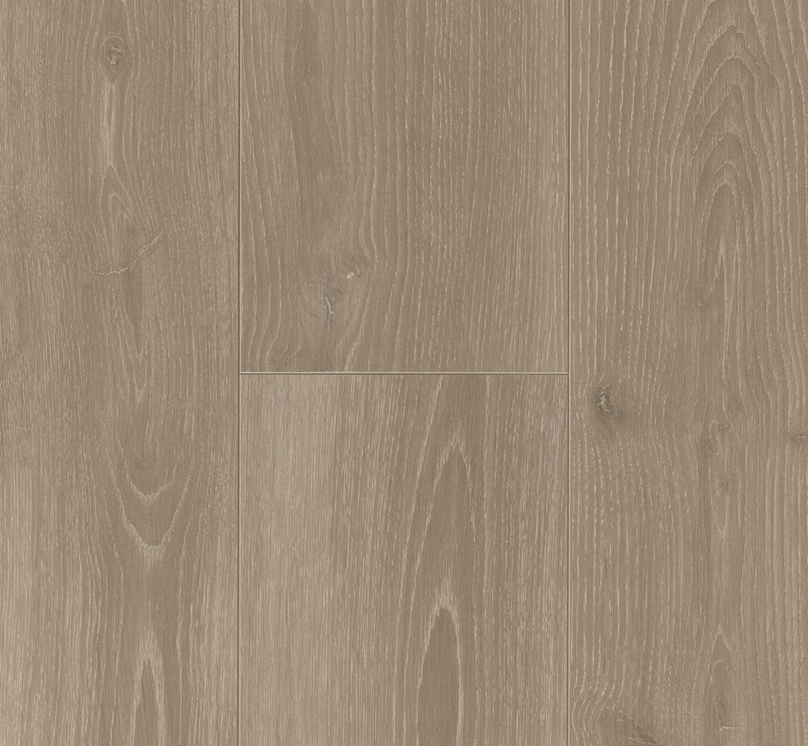 PARADOR Laminat Eiche Skyline perlgrau Naturmattstruktur 4-seitige V-Fuge | Trendtime 6-4014809171751