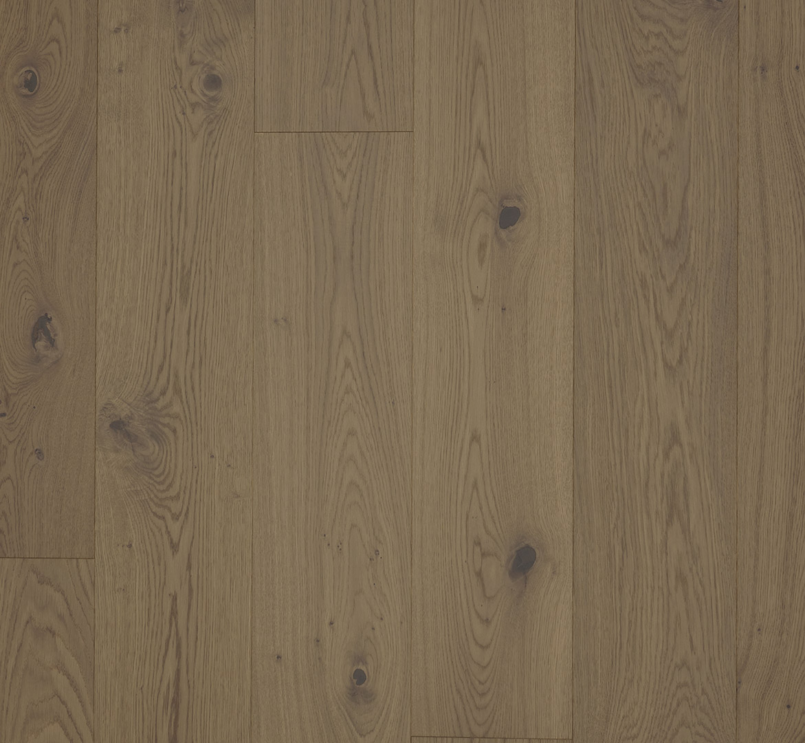 PARADOR Parkett Eiche nougat Landhausdiele lackversiegelt matt 4-seitige Minifase | Classic 3060-4014809285441 guenstig bei bodenverkauf.de kaufen PARADOR Parkett Eiche nougat Landhausdiele lackversiegelt matt 4-seitige Minifase | Classic 3060-4014809285441