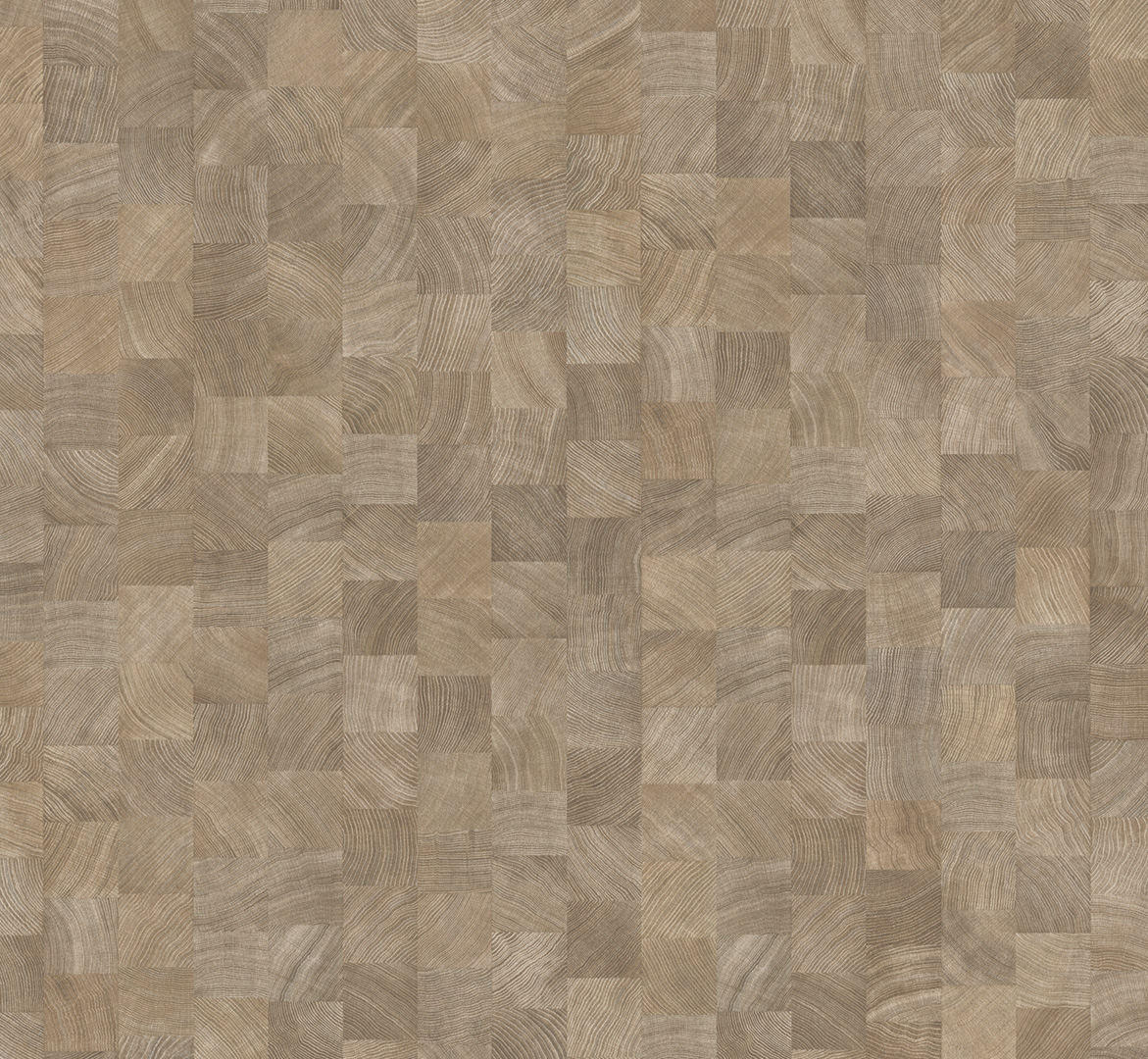 PARADOR Laminat Eiche Hirnholz gekälkt Seidenmatte Struktur | Basic 400 | 2. Wahl | 19 m²-4014809266303