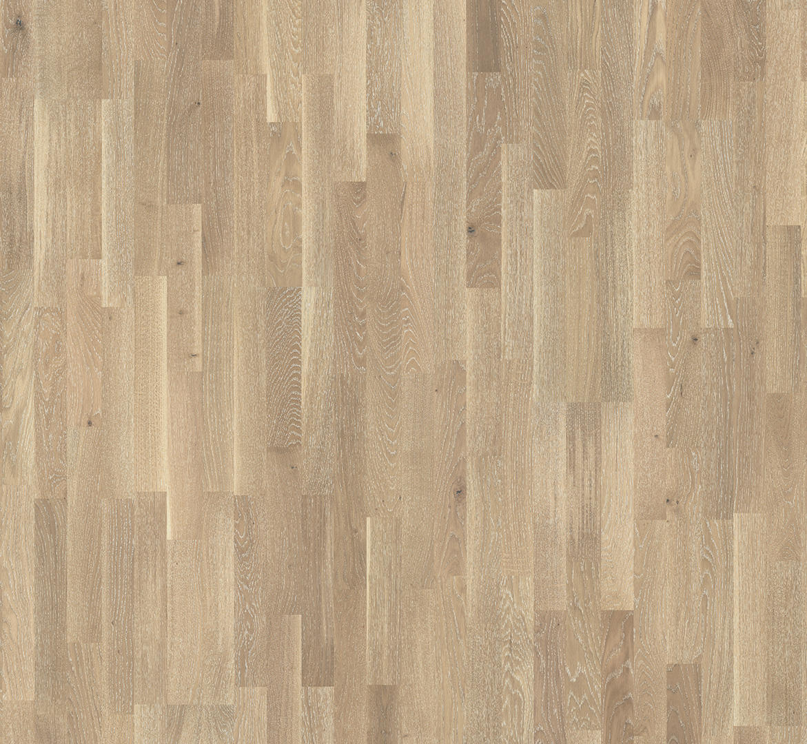 PARADOR Parkett Eiche Schiffsboden 3-Stab lackversiegelt matt weiß Weißpore | Basic 11-5-4014809170648 guenstig bei bodenverkauf.de kaufen PARADOR Parkett Eiche Schiffsboden 3-Stab lackversiegelt matt weiß Weißpore | Basic 11-5-4014809170648