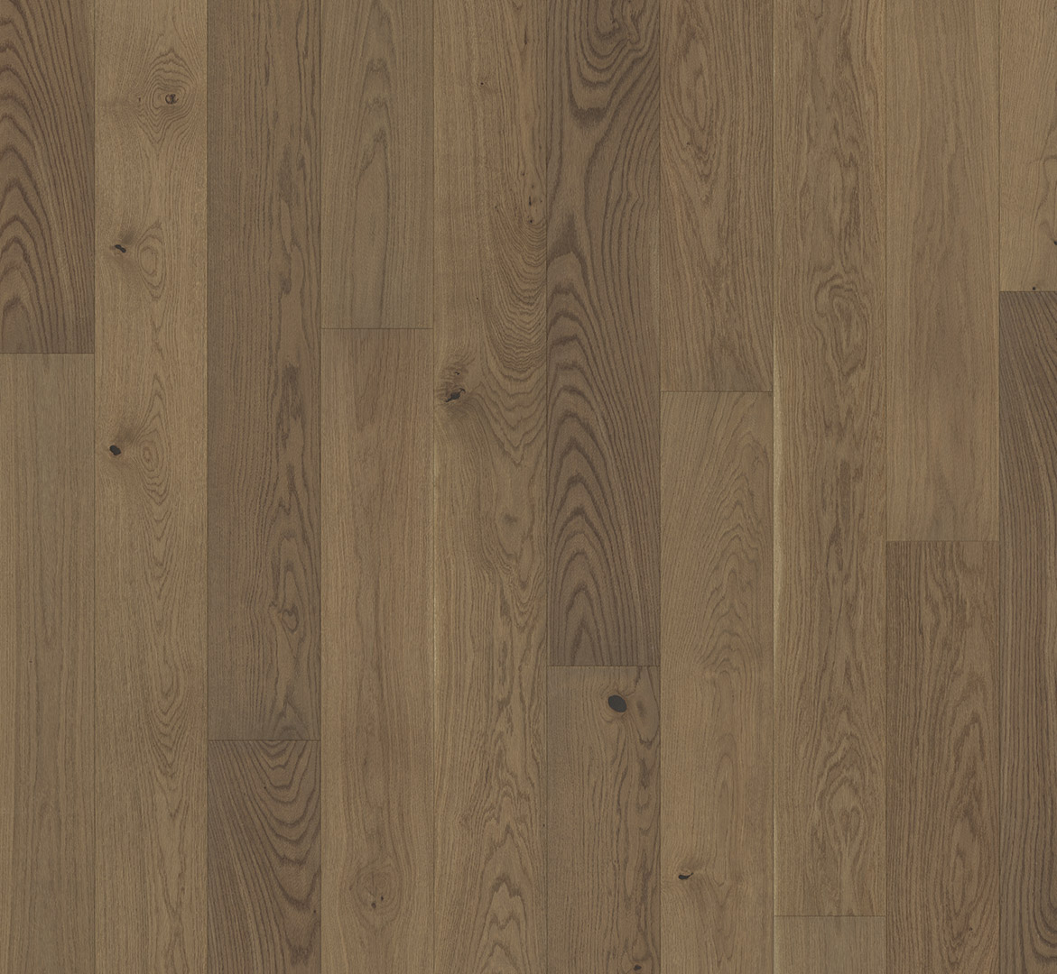 PARADOR Parkett Eiche nougat Living Landhausdiele lackversiegelt matt 4-seitige Minifase | Trendtime 4 |  2. Wahl |  21 m²-4014809188087