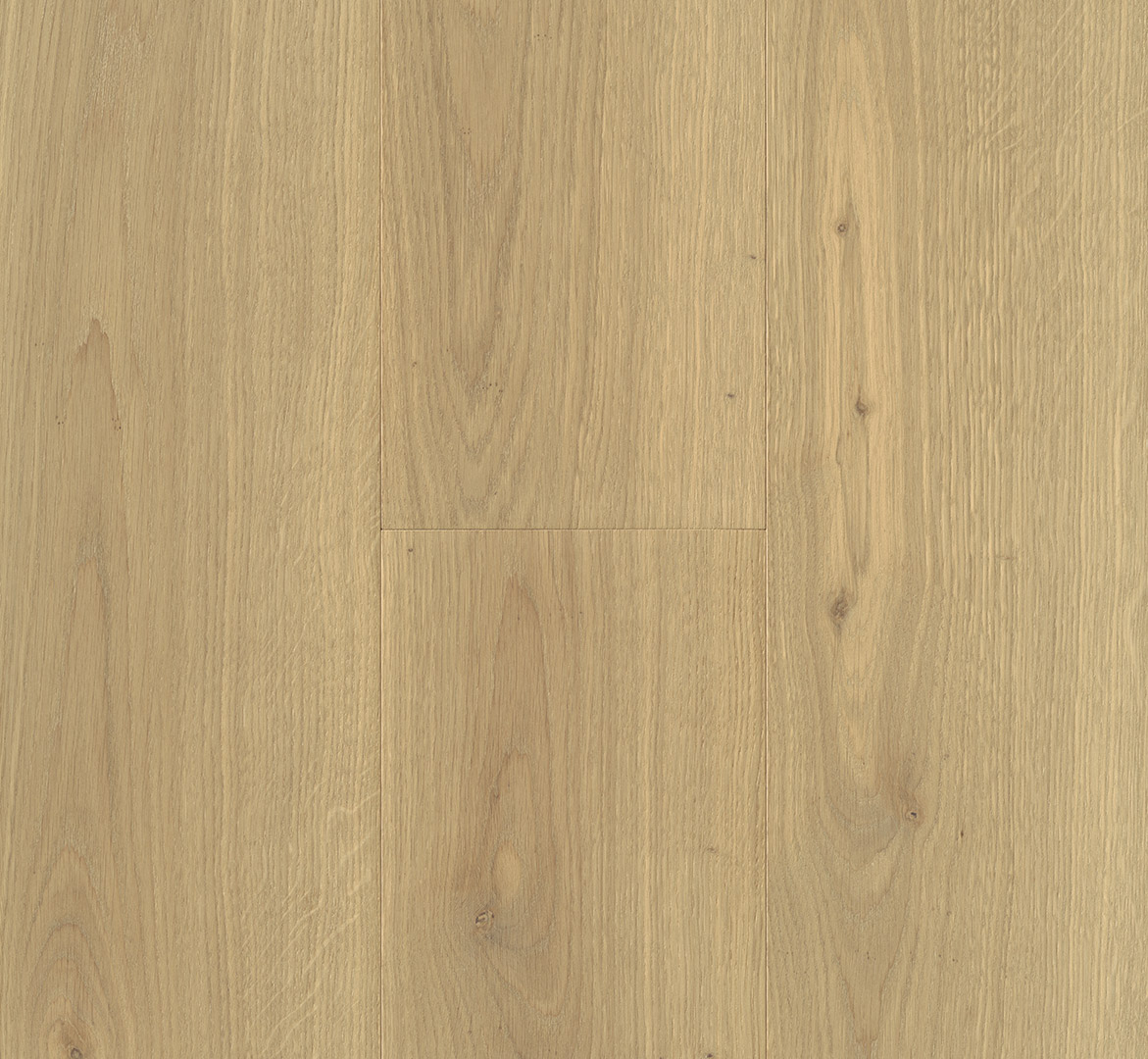 PARADOR Parkett Eiche gebürstet Landhausdiele lackversiegelt weiß Minifase | Classic 3025 | 10 m²-4014809264897