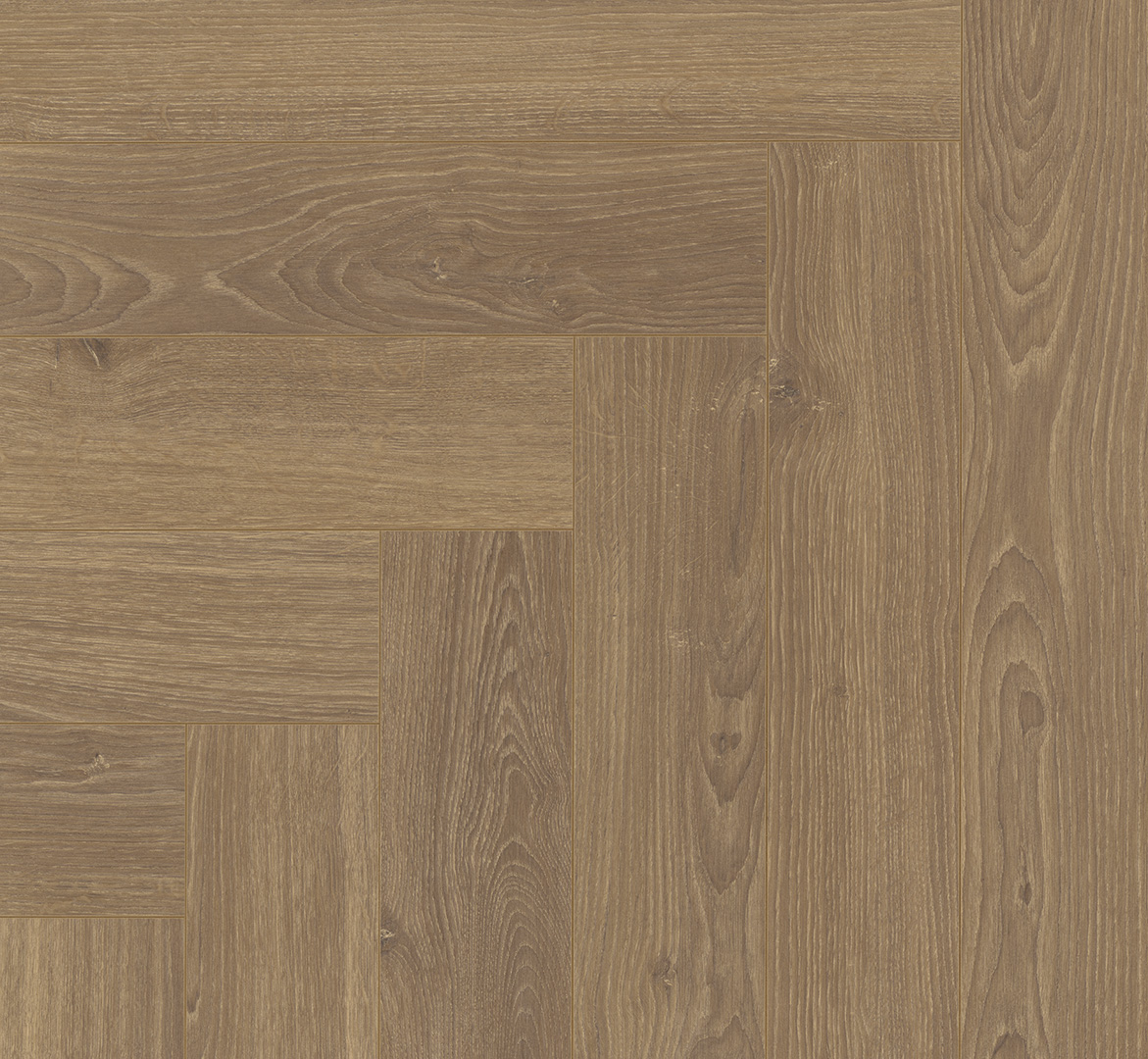 PARADOR Laminat Eiche Studioline honig 4-seitige V-Fuge | Trendtime 3 | 2. Wahl | 12 m²-4014809238423