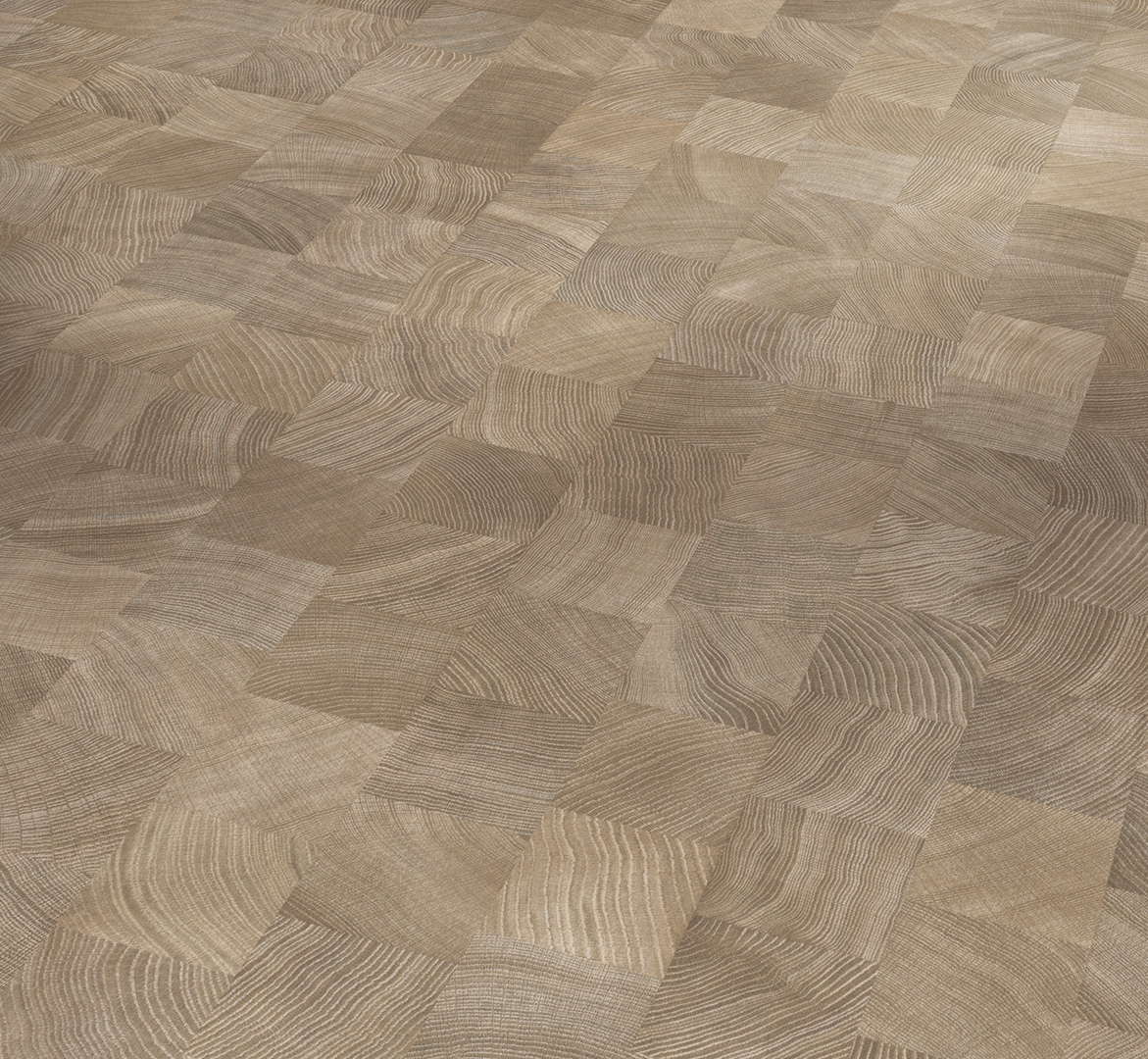 PARADOR Laminat Eiche Hirnholz gekälkt Seidenmatte Struktur | Basic 400 | 2. Wahl | 19 m²-4014809266303