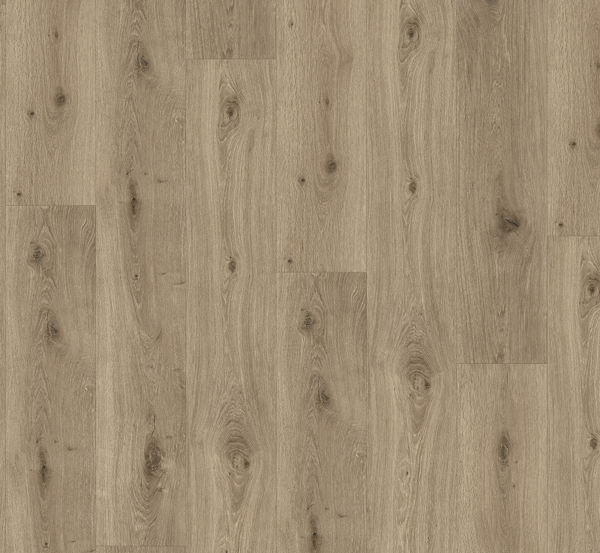 PARADOR Vinylboden Eiche Imperial macchiato Landhausdiele 4-seitige Fase | Trendtime 8 | 27,5 m²-4014809240891