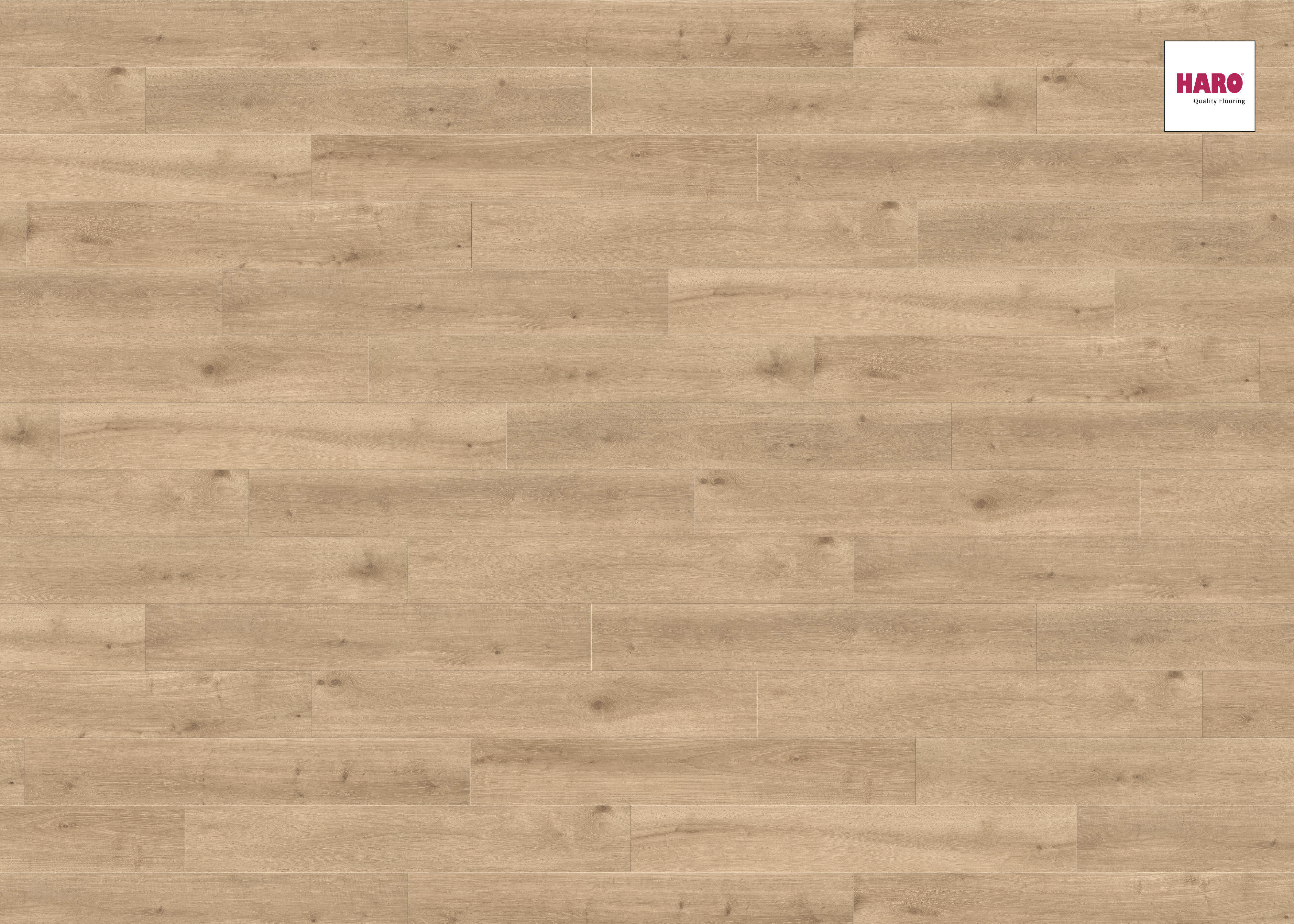 HARO Laminat Eiche Melina puro soft matt Landhausdiele 4V | Tritty 90 | 2.Wahl-4018427400132