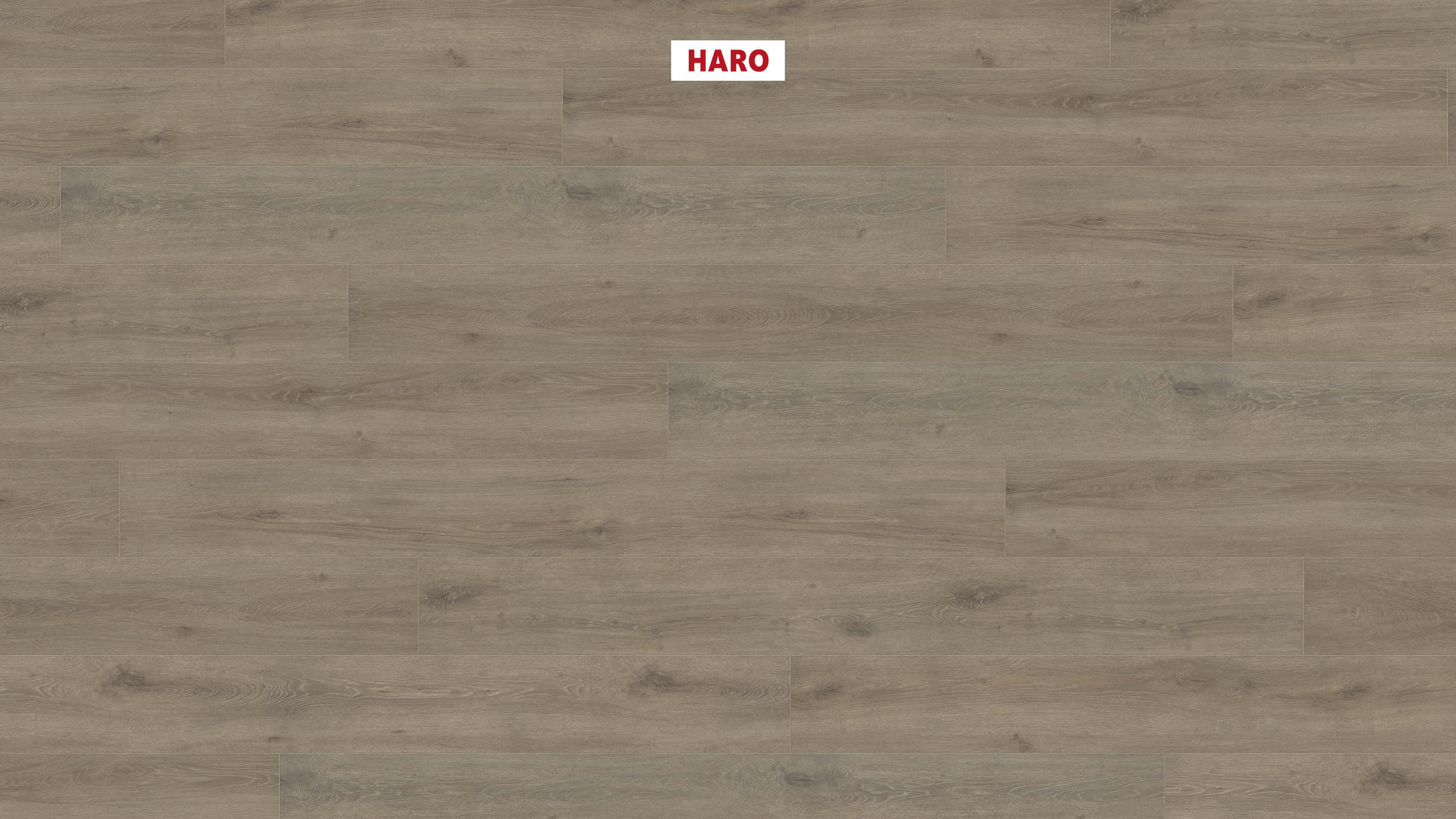 HARO Laminat Eiche Veneto mocca Landhausdiele 4V | Tritty 100 Gran Via Sonderedition | 8 m²-4018427474768
