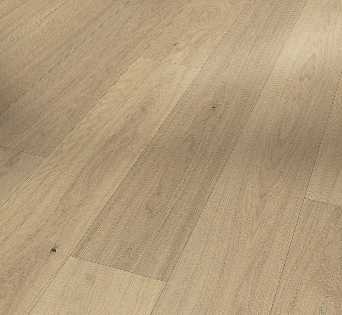 PARADOR Parkett Eiche Landhausdiele lackversiegelt matt weiß Minifase | Sonderedition | 12 m²-#