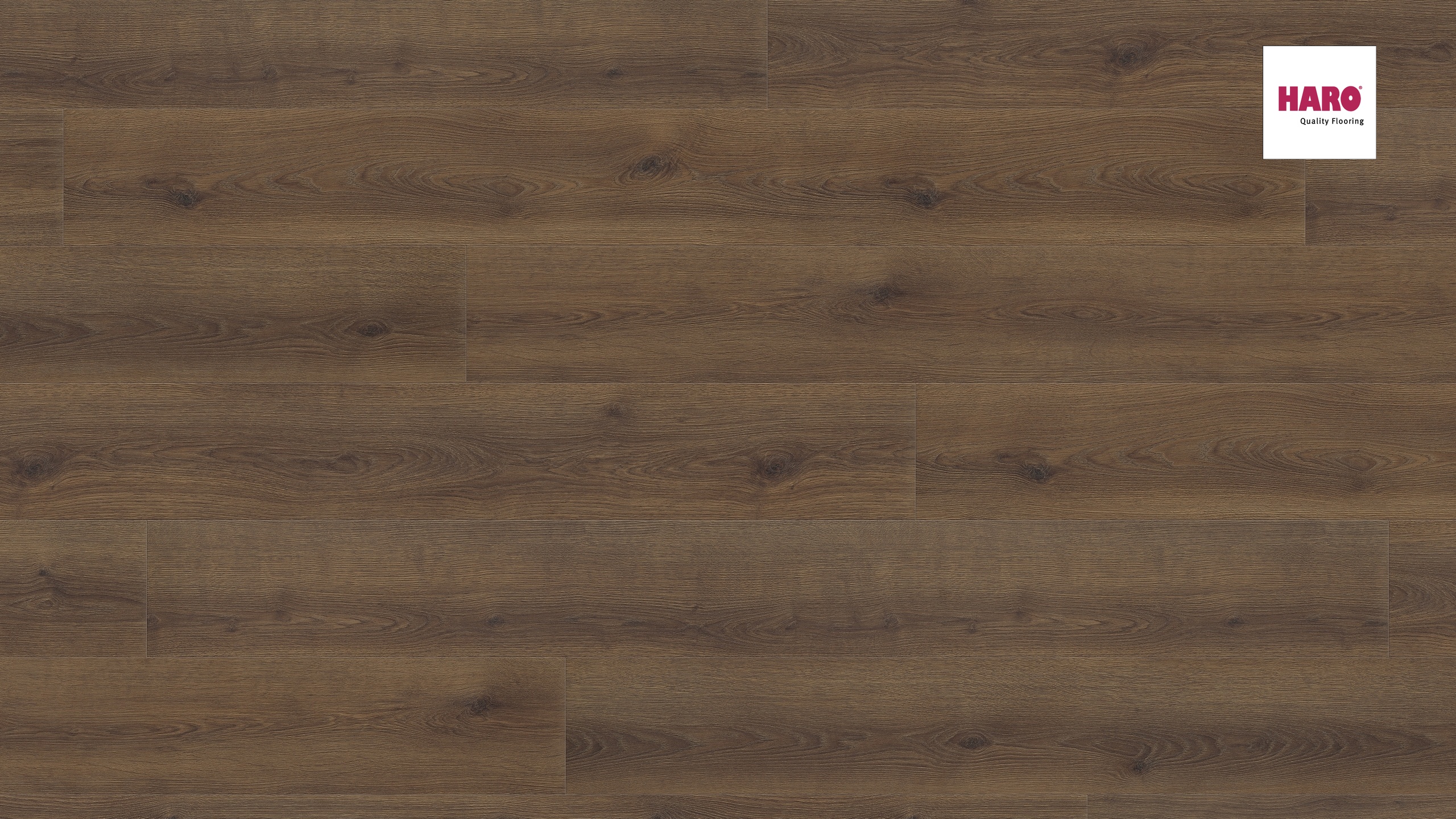 HARO Laminat Eiche Contura geräuchert Landhausdiele 4V | Tritty 200 Aqua Gran Via | 2.Wahl-4018427458324