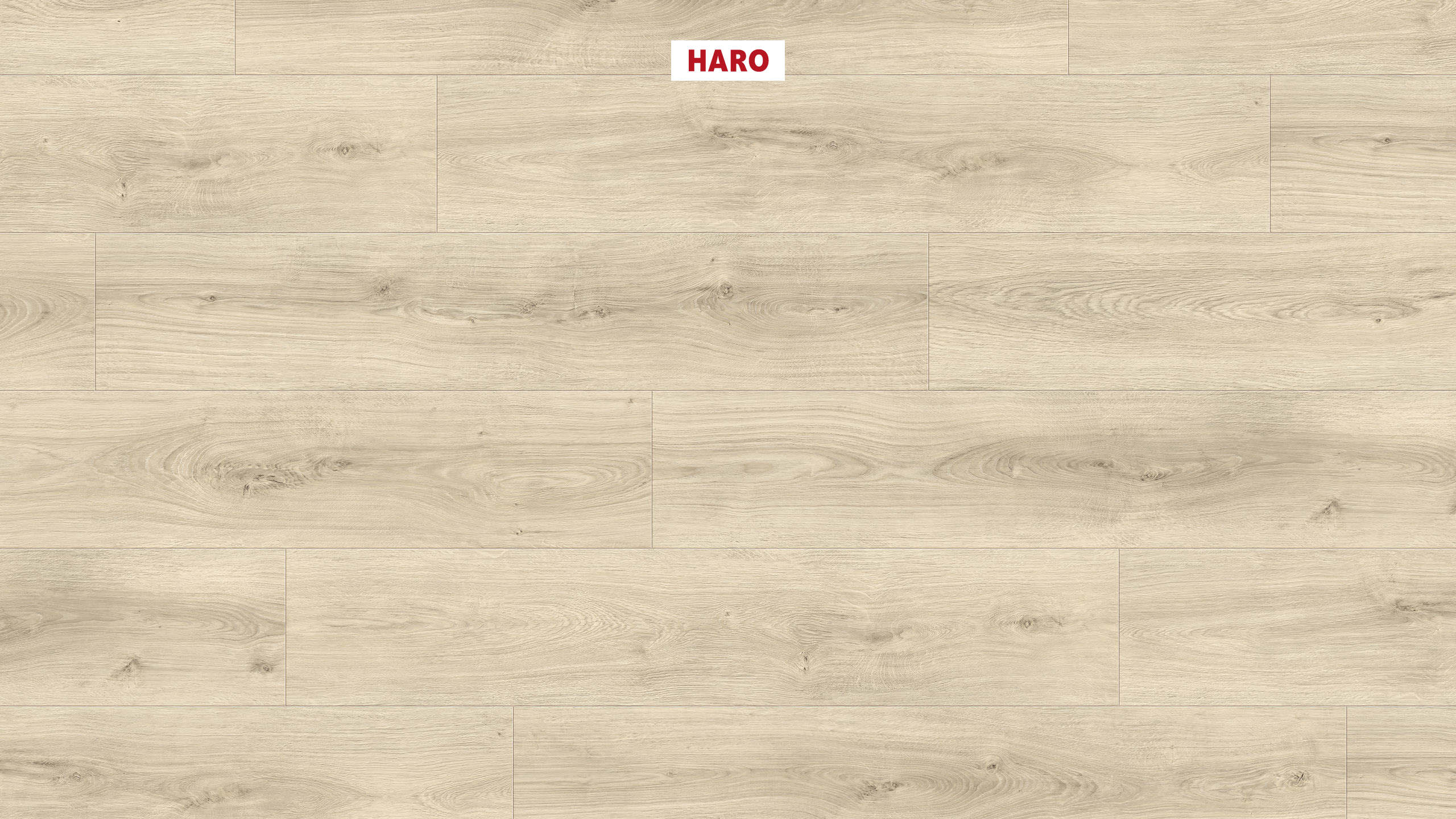 HARO Designboden Eiche Sheffield cremeweiß Landhausdiele XL 4V | Sonderedition DISANO Life-#