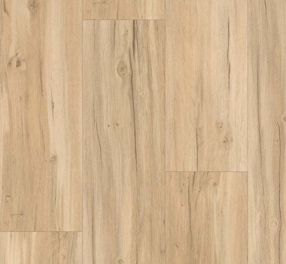 PARADOR Vinylboden Eiche Memory geschliffen Landhausdiele 4-seitige Fase | Basic 5.3 | 14 m²-4014809203322 PARADOR Vinylboden Eiche Memory geschliffen Landhausdiele 4-seitige Fase | Basic 5.3 | 14 m²-4014809203322