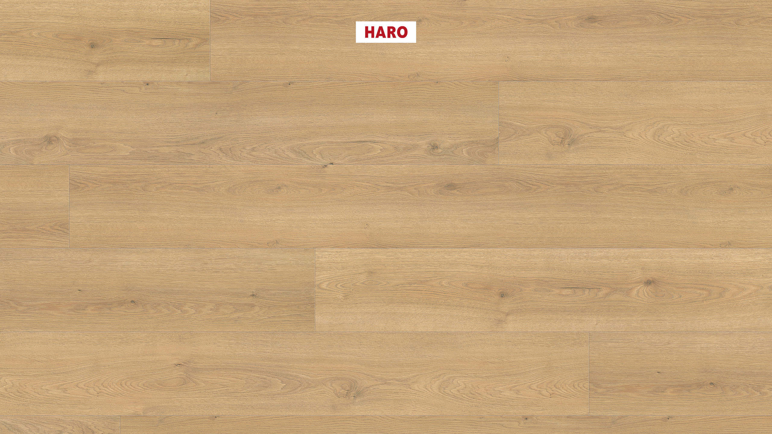 HARO Laminat Eiche Flavia puro authentic Landhausdiele 4V | Tritty 100 Gran Via Silent Pro | 30 m²-4018427512248 guenstig bei bodenverkauf.de kaufen HARO Laminat Eiche Flavia puro authentic Landhausdiele 4V | Tritty 100 Gran Via Silent Pro | 30 m²-4018427512248