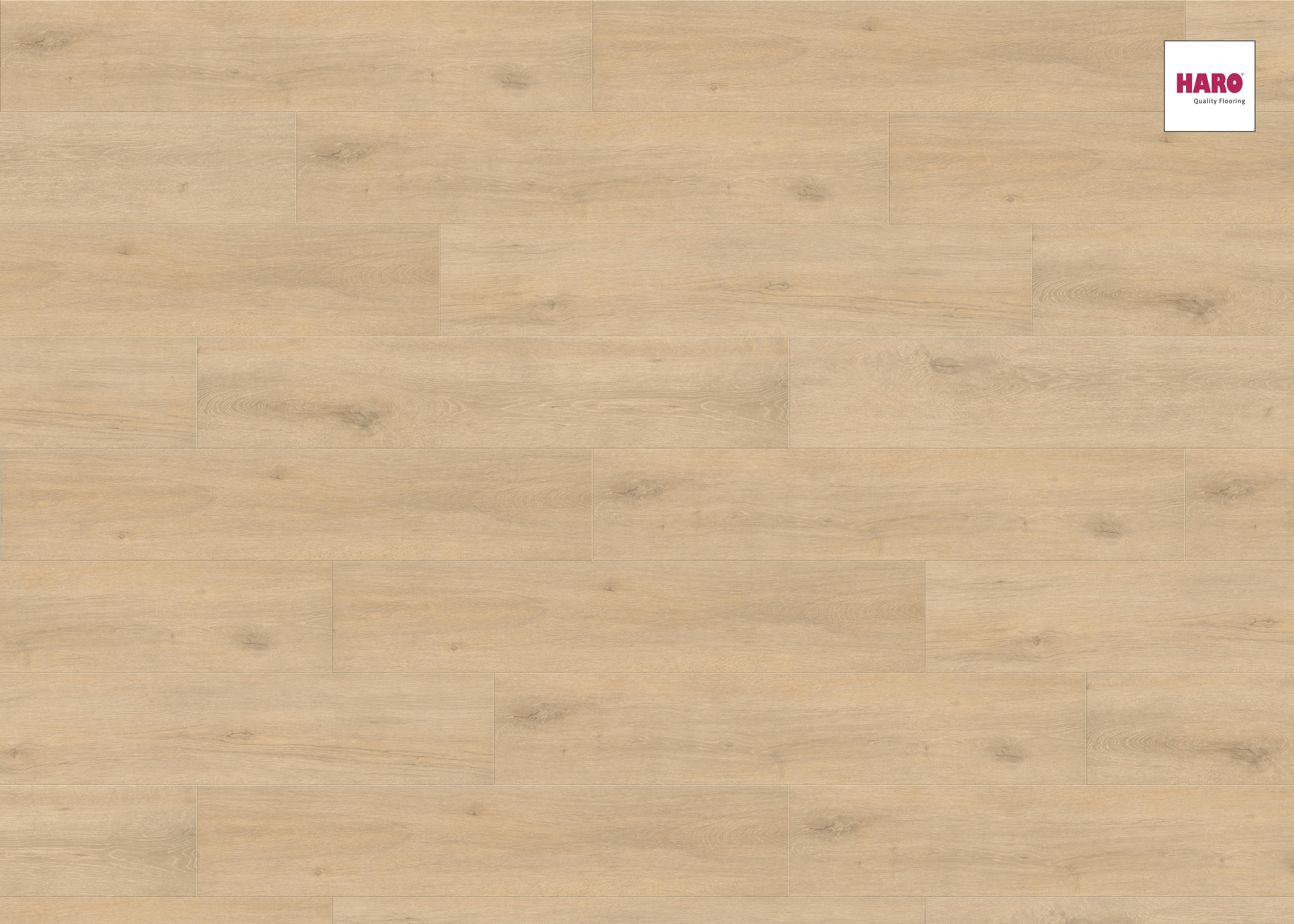 HARO Laminat Eiche Jubile puro authentic matt Landhausdiele 4V | Tritty 100 Campus-4018427390556
