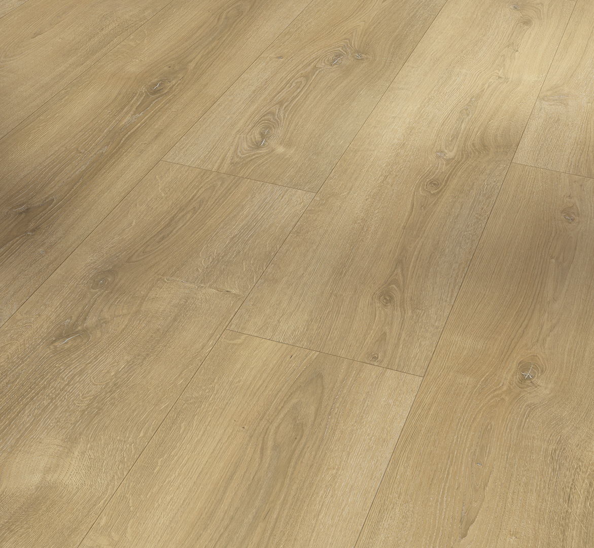 PARADOR Laminat Eiche Nova gekälkt Landhausdiele Naturstruktur 4-seitige V-Fuge | Basic 600 XS-4014809233534
