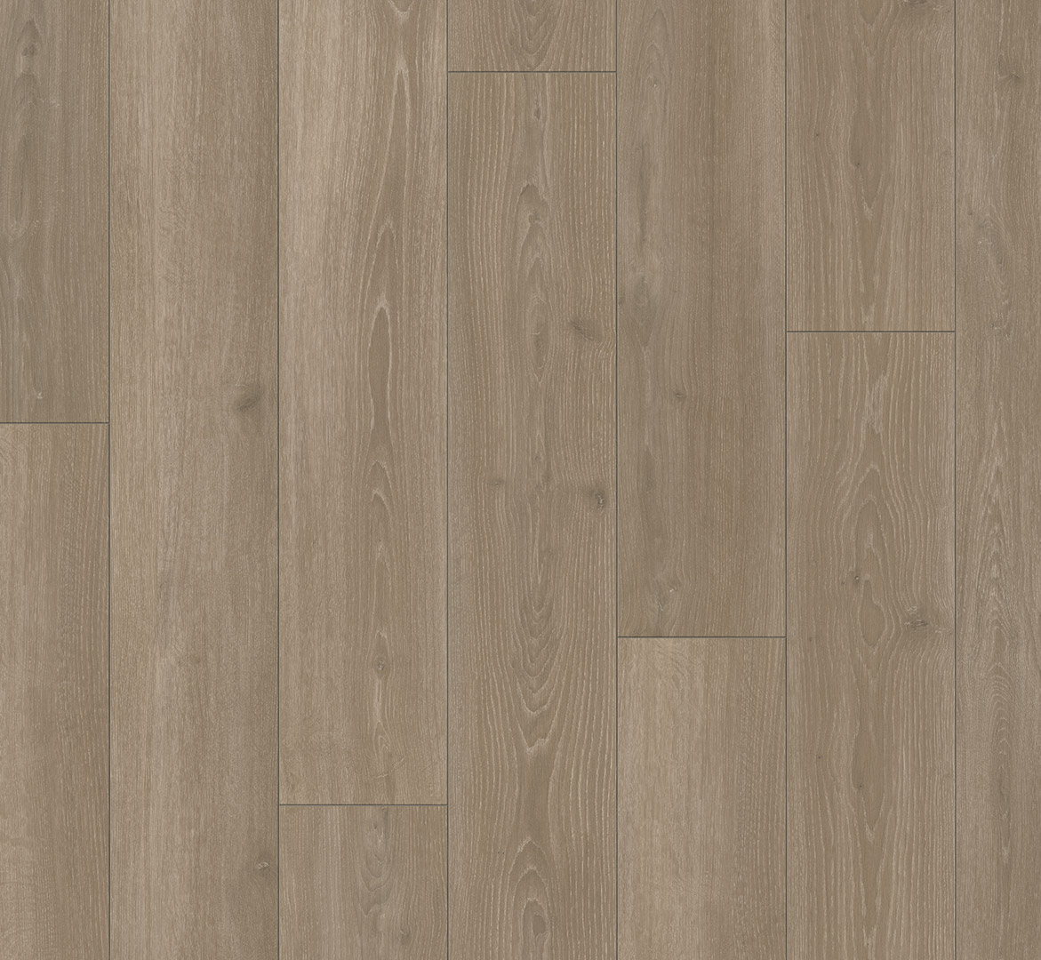 PARADOR Laminat Eiche Skyline perlgrau Naturmattstruktur 4-seitige V-Fuge | Trendtime 6-4014809171751