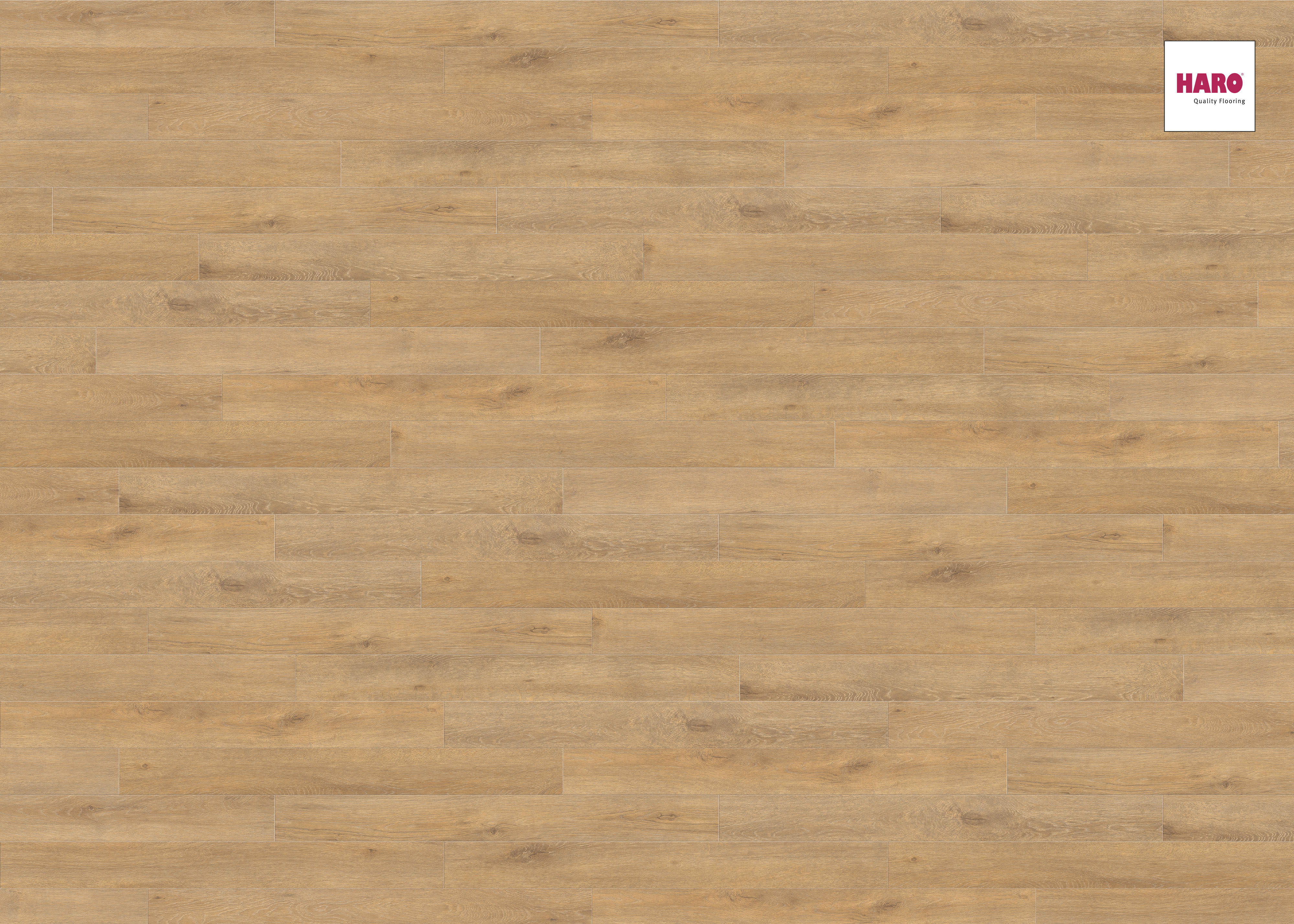 HARO Laminat Eiche Veneto natur Landhausdiele | Tritty 100 Loft | 2.Wahl | 8,5 m²-4018427400217 HARO Laminat Eiche Veneto natur Landhausdiele | Tritty 100 Loft | 2.Wahl | 8,5 m²-4018427400217