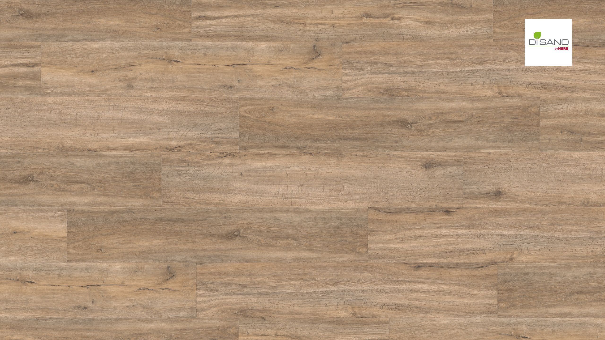 HARO Designboden 4VM Steineiche creme strukturiert | DISANO Saphir | 2. Wahl-4018427424695