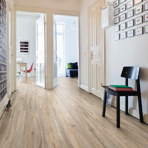HARO Vinylboden Steineiche creme Landhausdiele XL 4-seitige V-Fase | DISANO Sonderedition-4018427433987