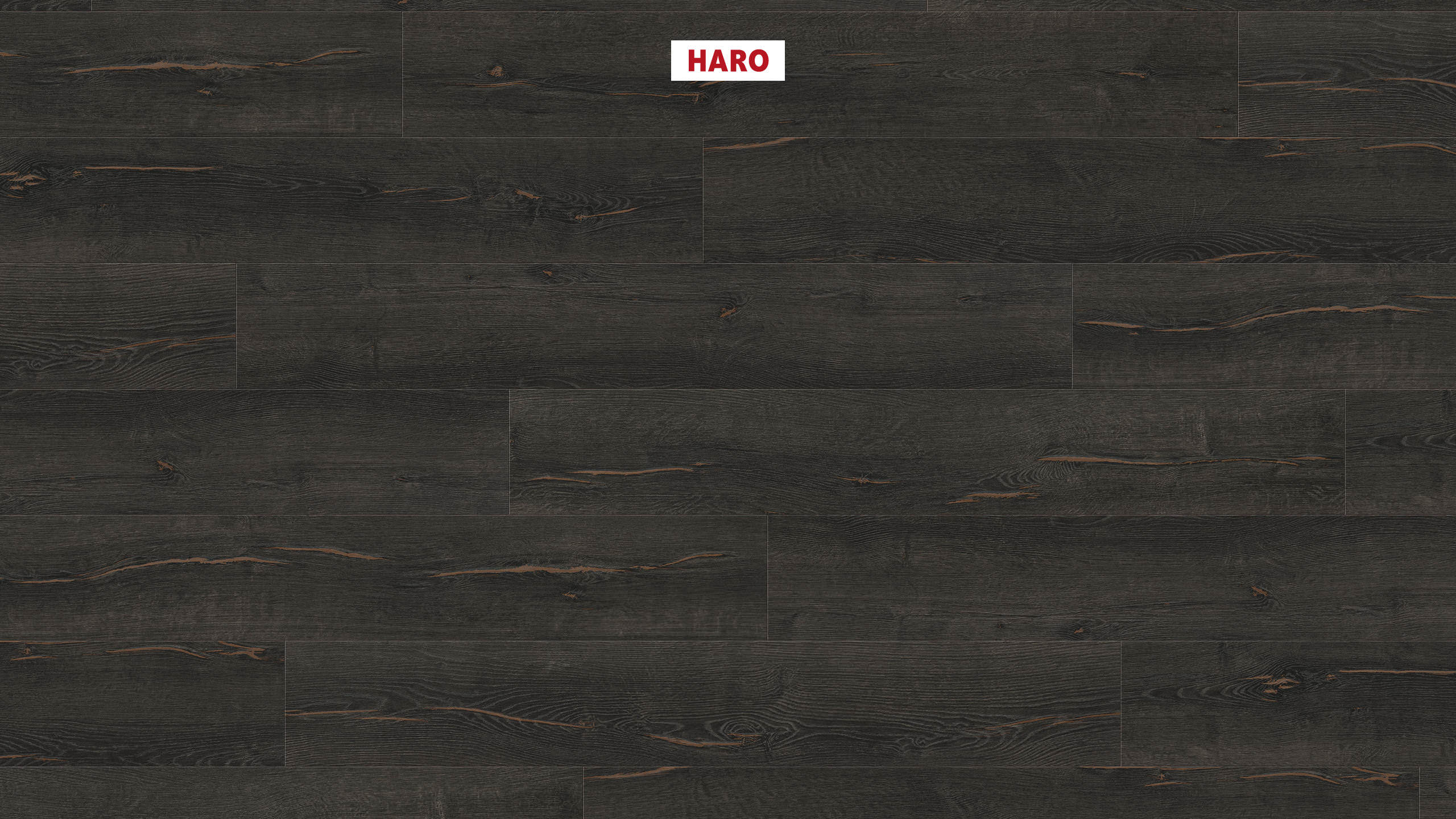 HARO Laminat Eiche Metallic schwarz autentic Landhausdiele | Tritty 200 Gran Via | 26 m²-4018427516659