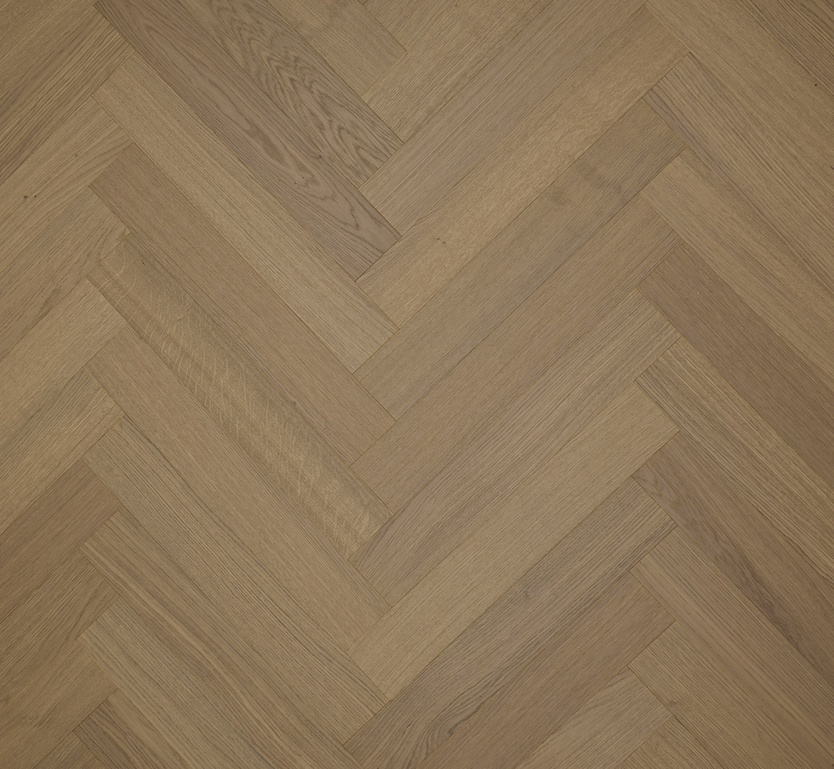 PARADOR Parkett Eiche nougat Stab Fischgrät Living naturgeölt Minifase | Trendtime 3-4014809285328 guenstig bei bodenverkauf.de kaufen PARADOR Parkett Eiche nougat Stab Fischgrät Living naturgeölt Minifase | Trendtime 3-4014809285328