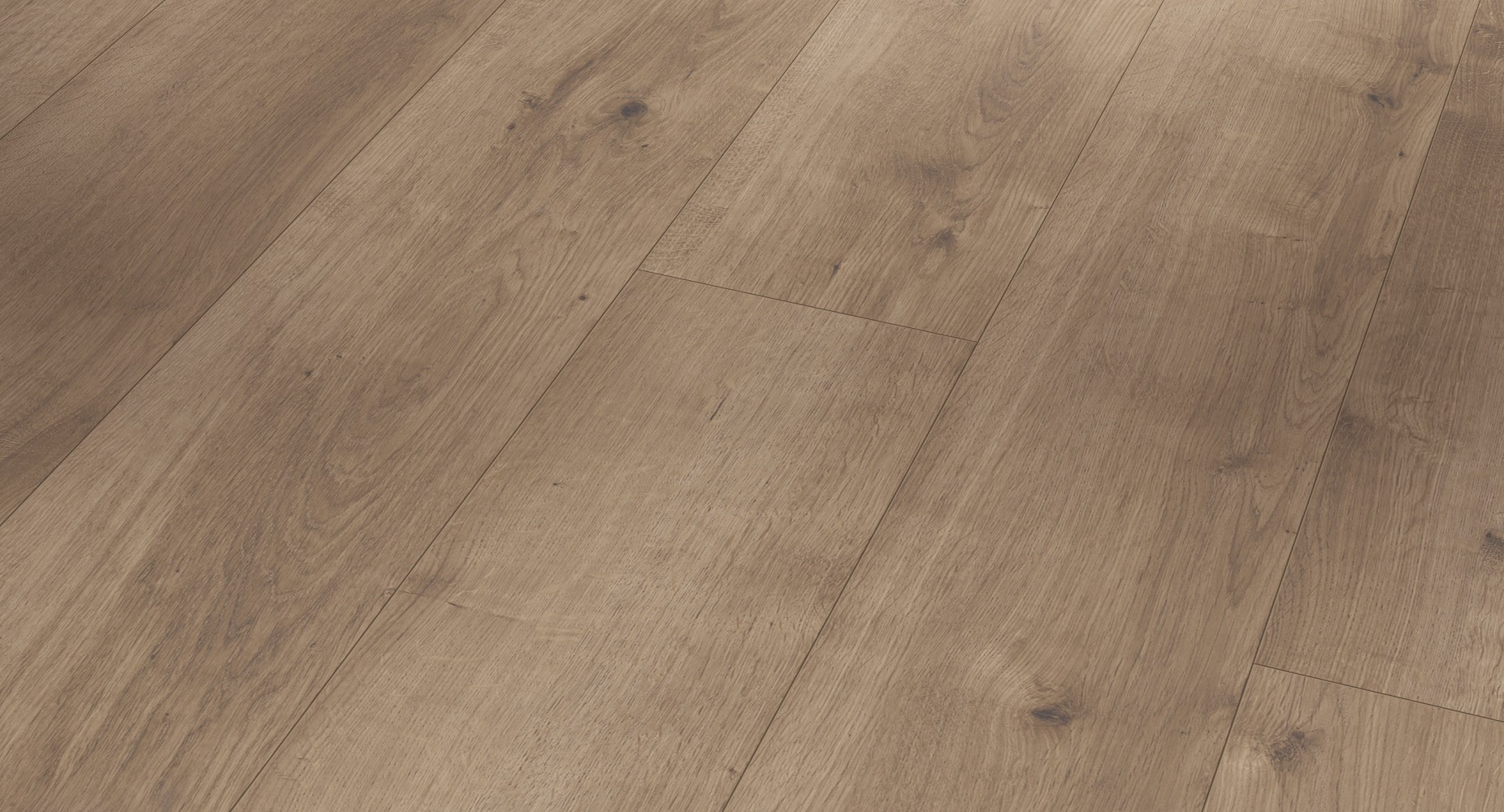 PARADOR Vinylboden Eiche Pure perlgrau Landhausdiele 4-seitige Fase | Modular ONE-4014809192213