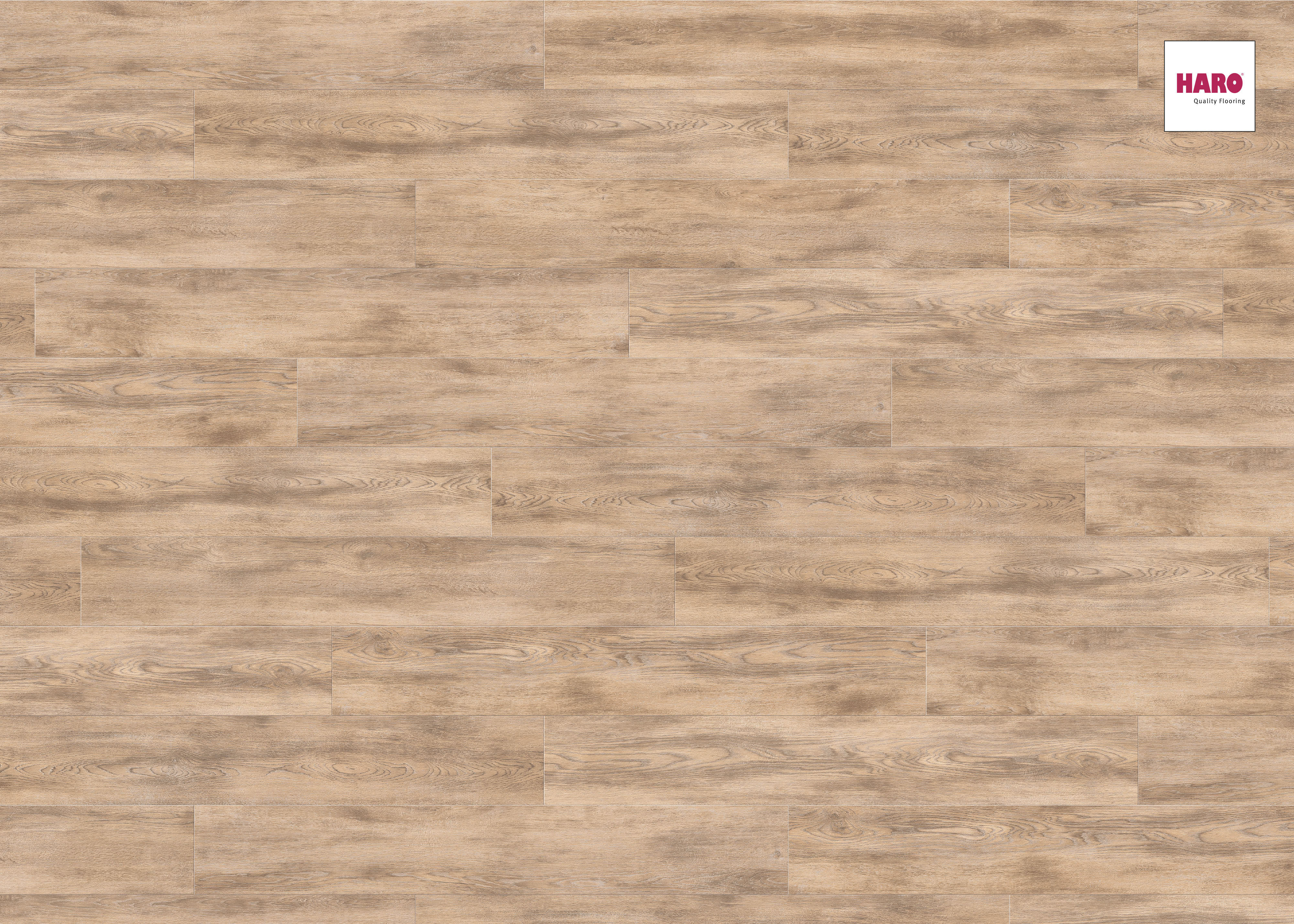 HARO Laminat Eiche caramel Landhausdiele 4V | Tritty 100 | 2.Wahl | 28 m²-401842735000
