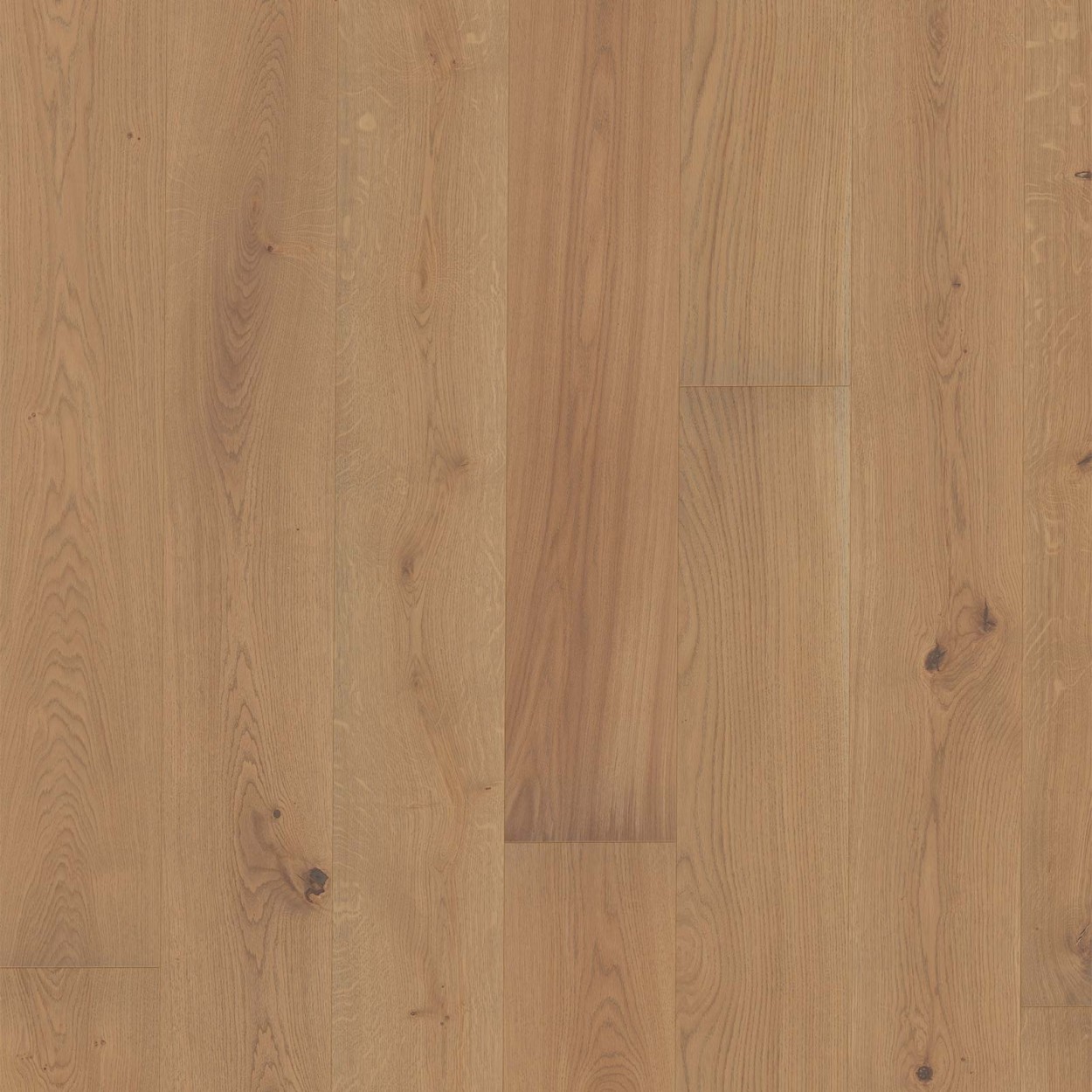 TER HÜRNE Parkett Eiche reed grey Landhausdiele gebürstet farbig-lackiert | Sonderedition | 14,5 m²-4012853125843